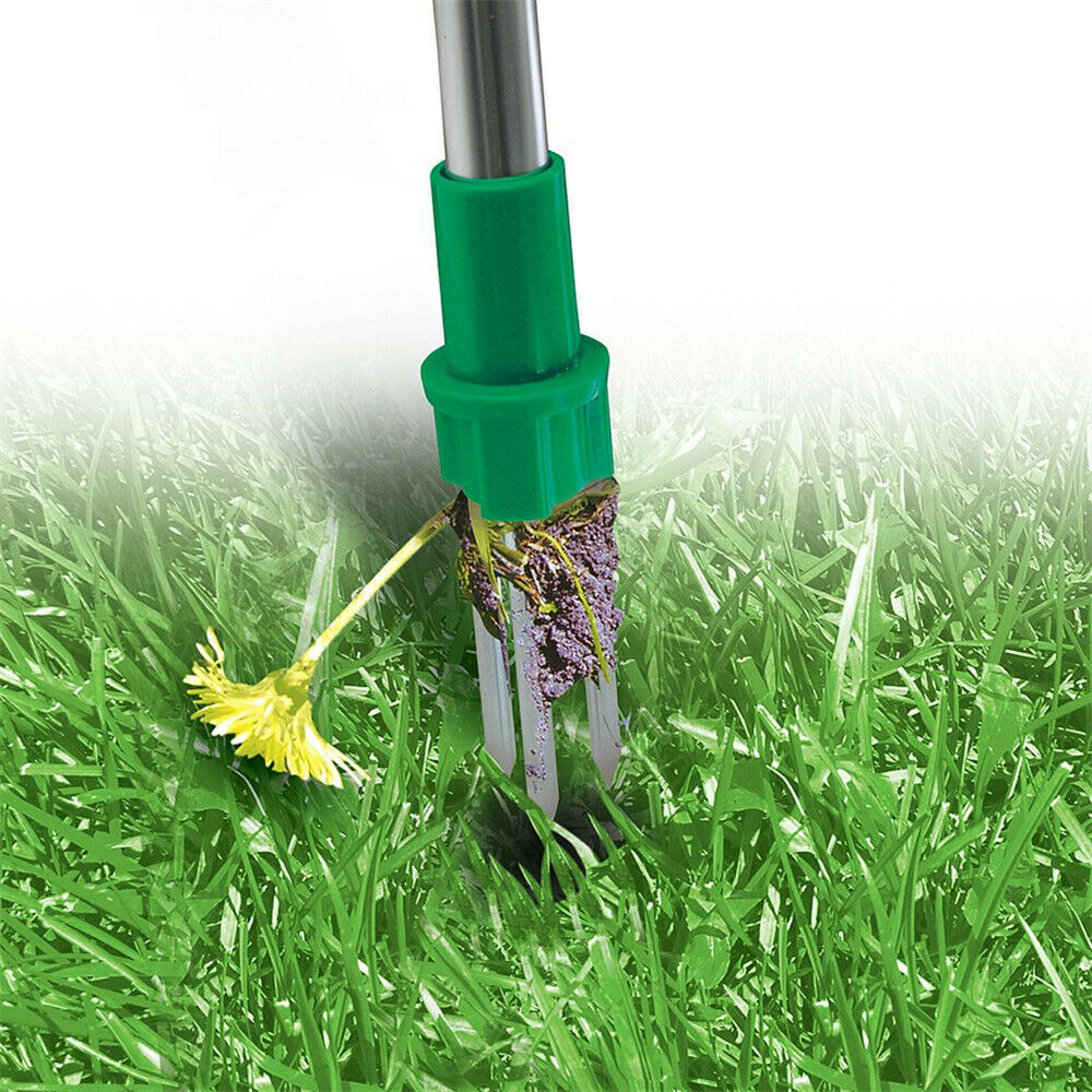 Standing Plant Root Remover Tool 5