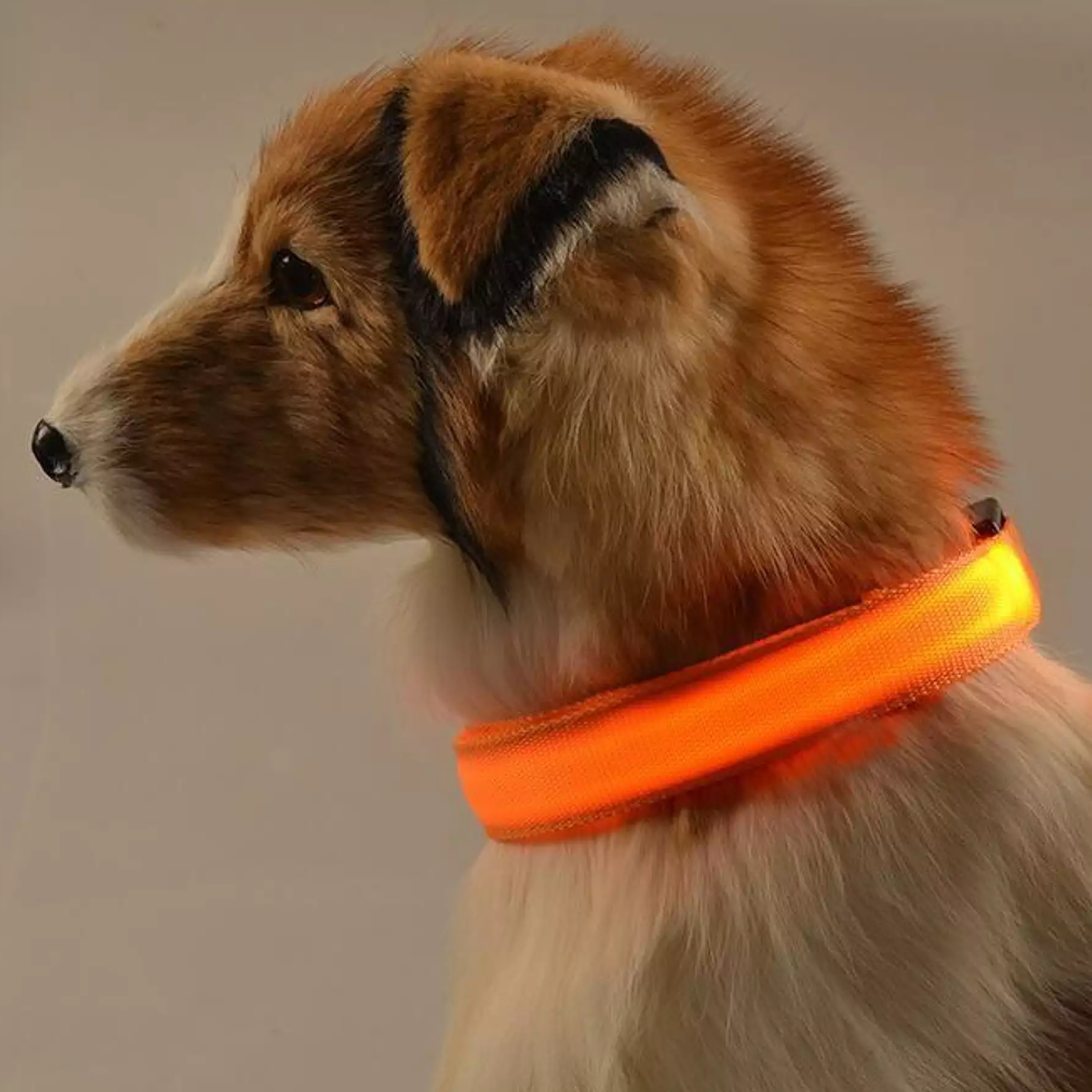 luminousdogcollar1