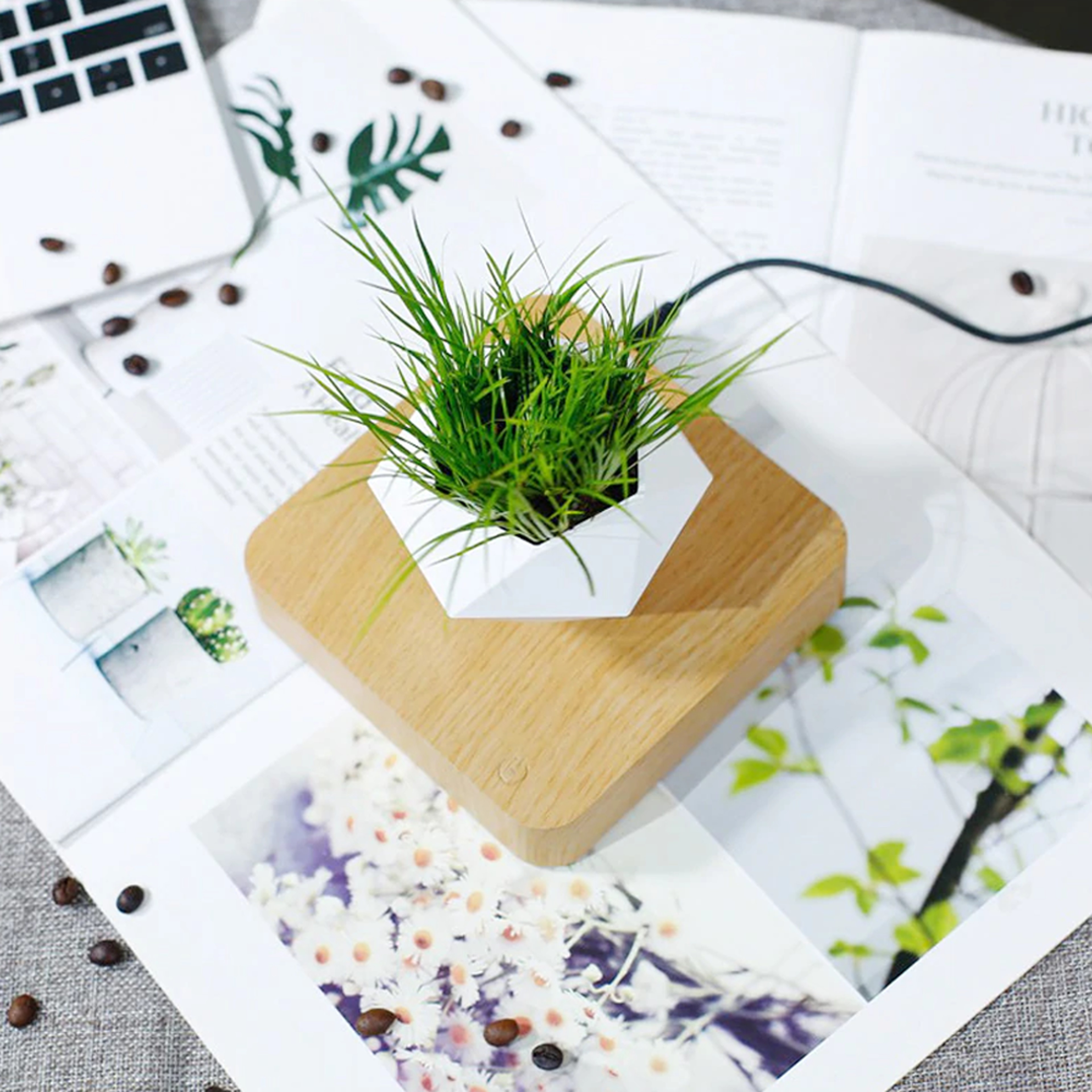 Magnetic Levitating Plant Pot For Bonsai, Real & Fake Plants 2