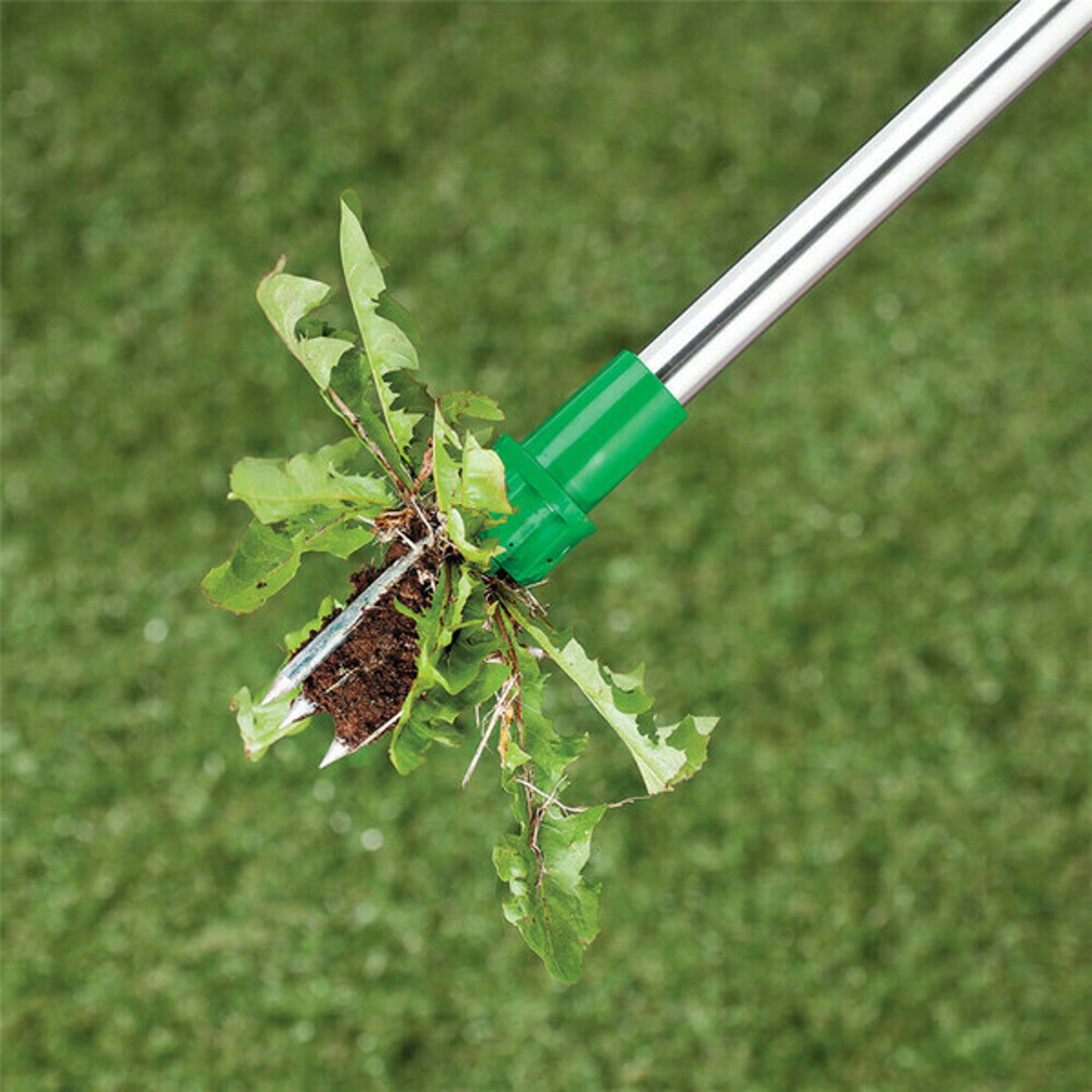 Standing Plant Root Remover Tool
