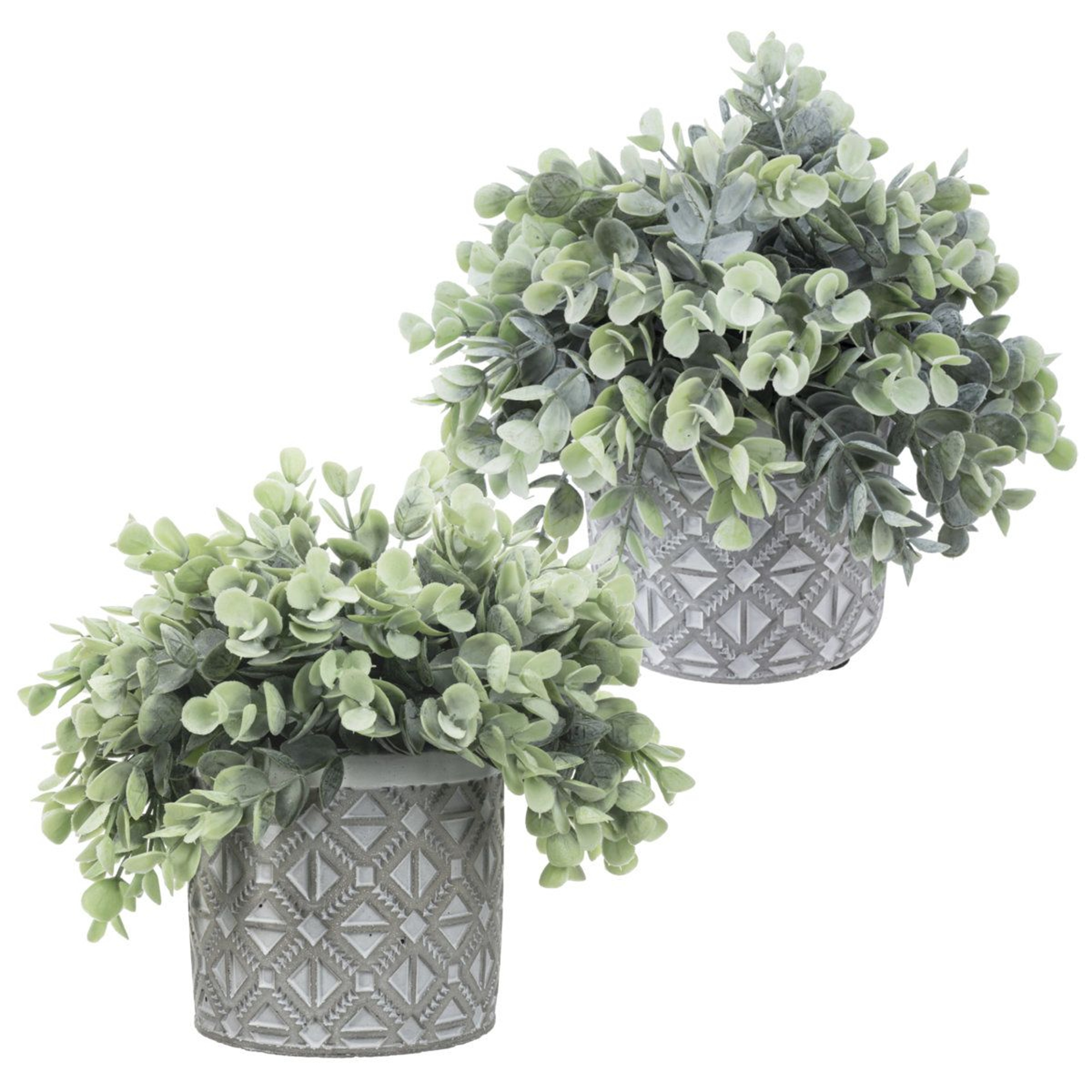 Faux Eucalyptus Plants In Geometric Cement Pots Set Of 2 0