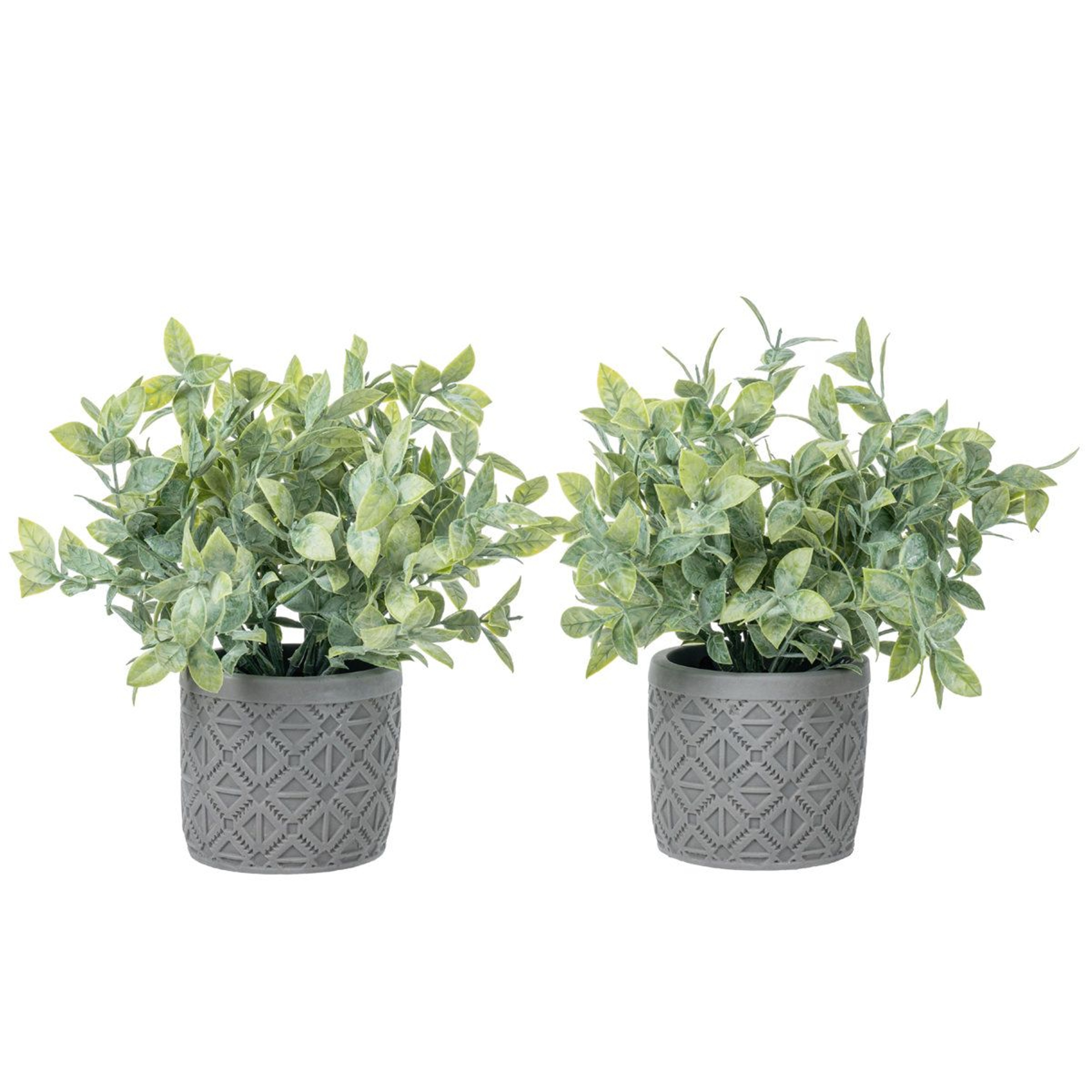Modern Artificial Potted Plants In Gray Concrete Pots Set Of 2 1