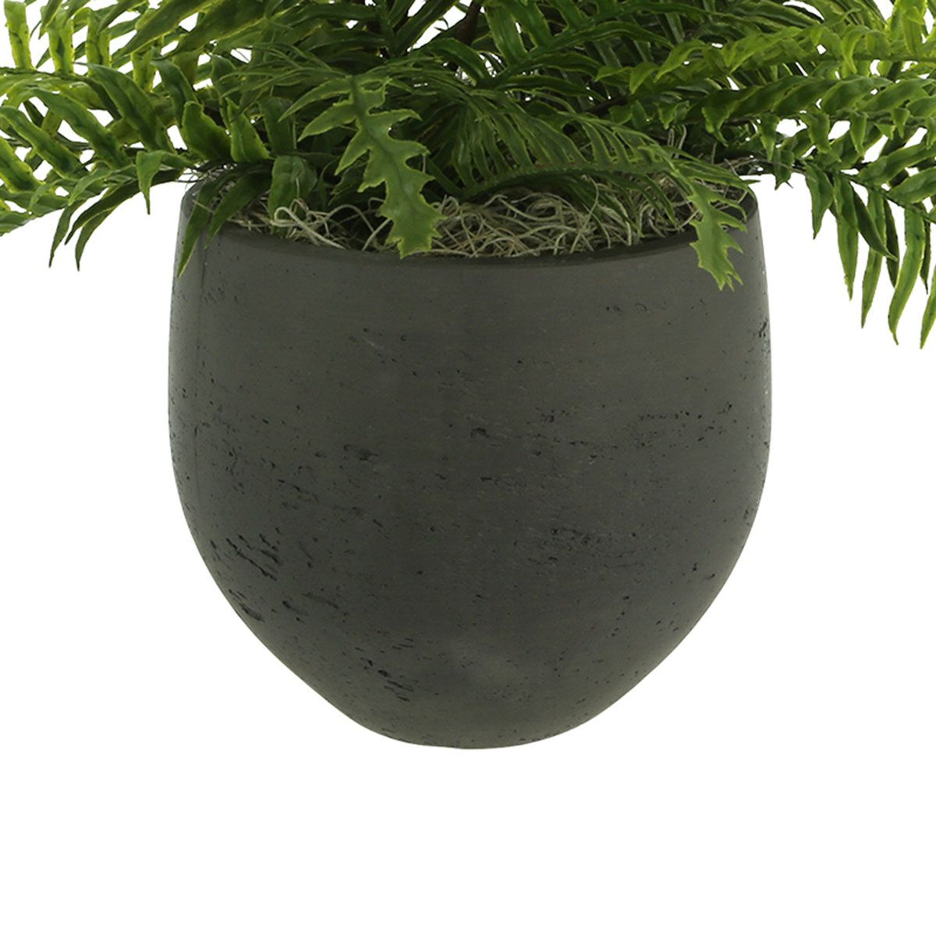 Kenley UV Resistant Artificial Fern In Fiberstone Pot 3