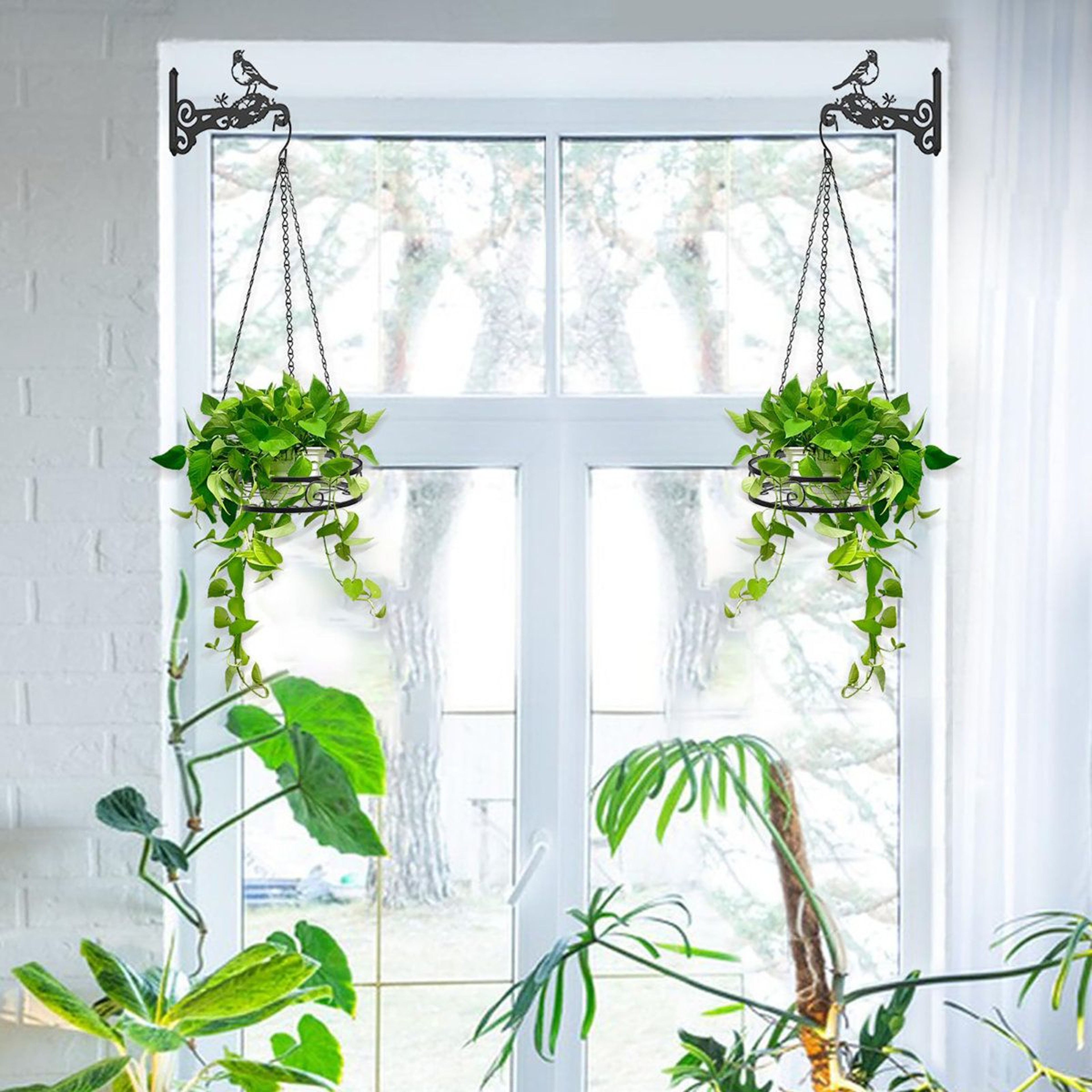 4 Pack Indoor Hanging Planter Metal Plant Hanger With Chains And Hooks 6