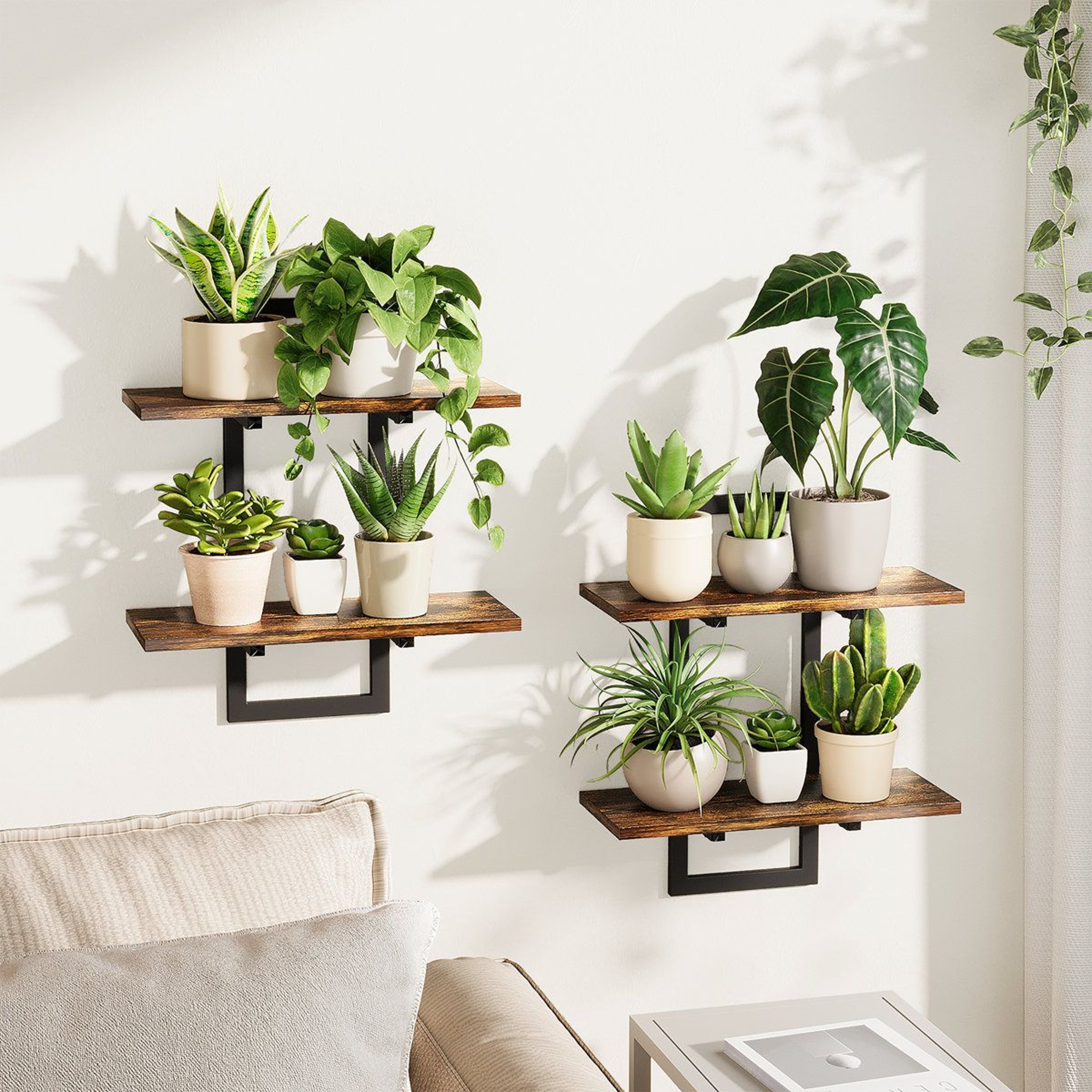 Ebern Designs Floating Plant Shelves For Indoor Plants Wall Decor Set Of 2 Brown 7