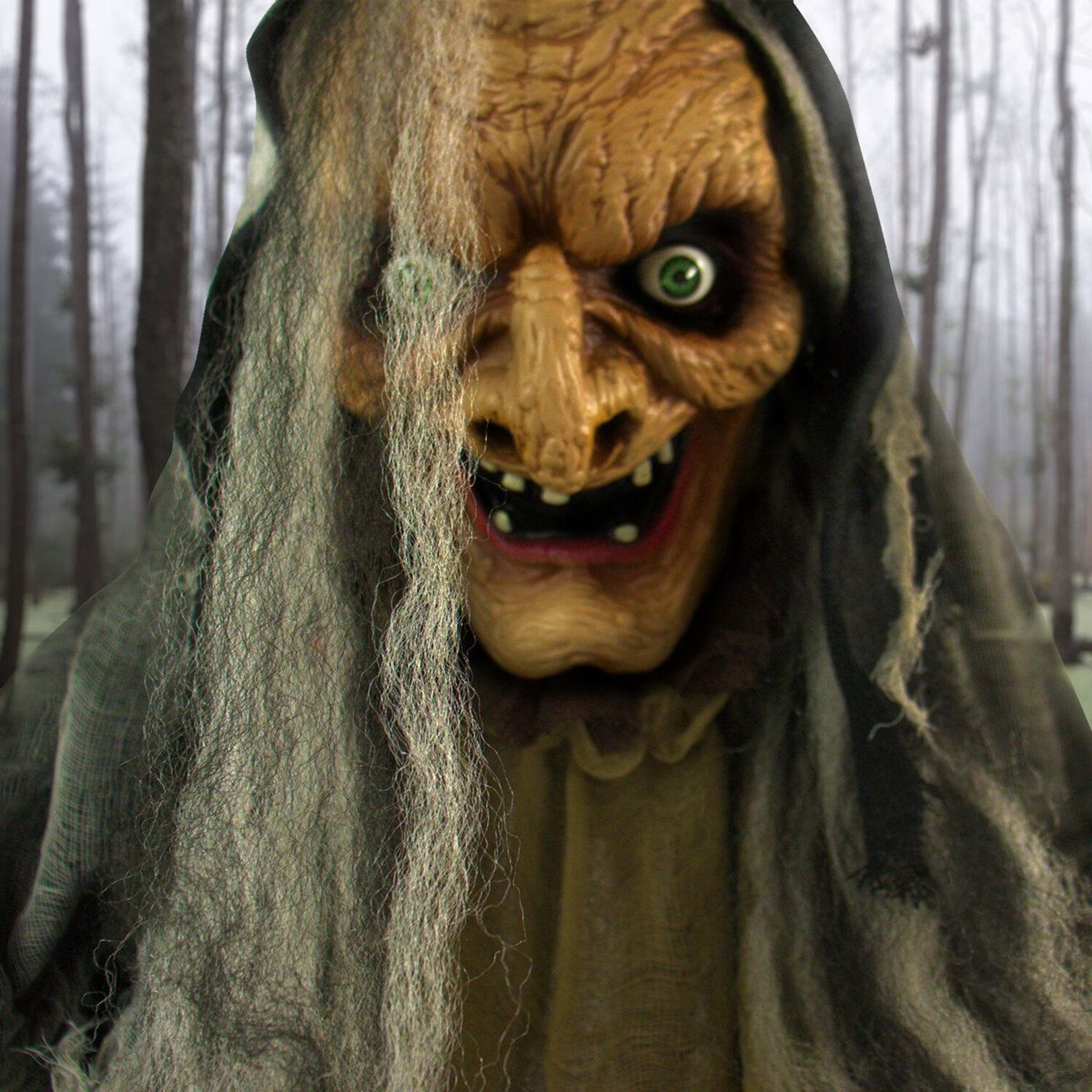53 Ft Animatronic Haunted Witch Display With LED Eyes And Sound 8