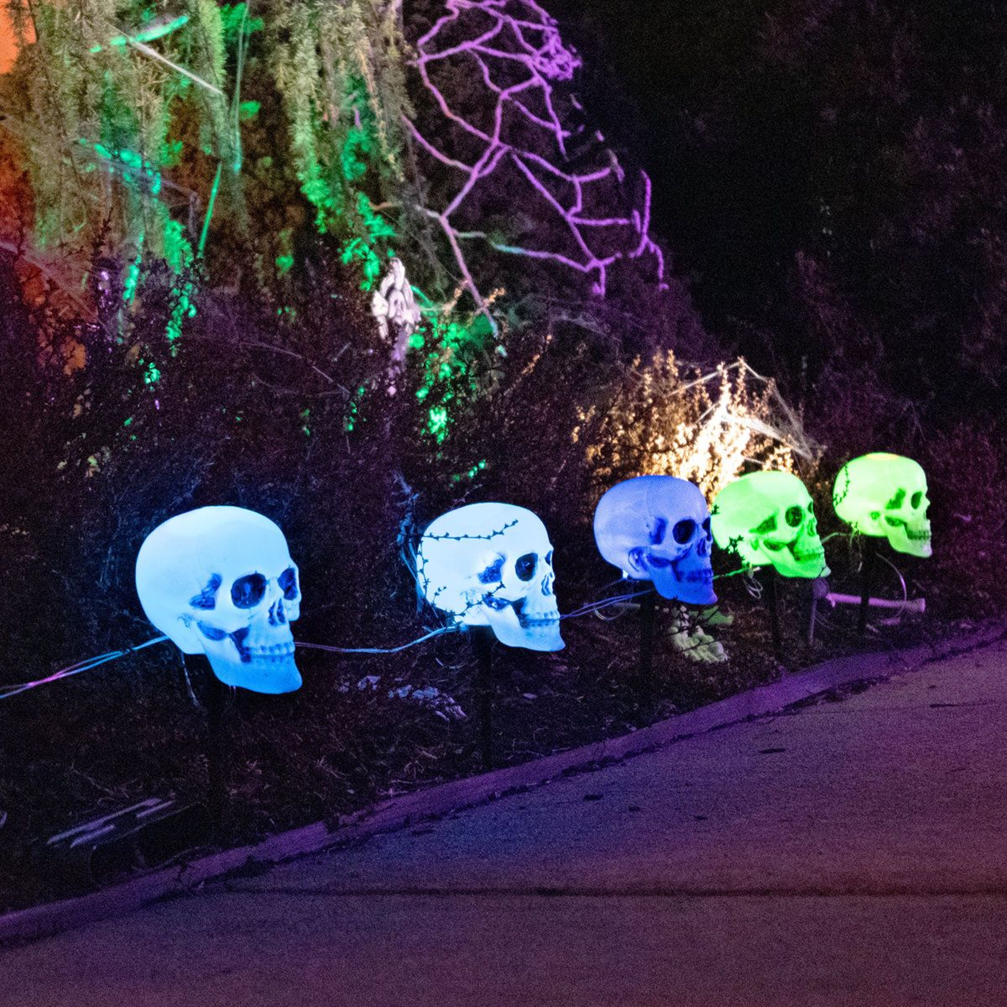 Halloween Skull Garden Stakes With Blue LED Lights  6Piece Outdoor Yard Decor 1