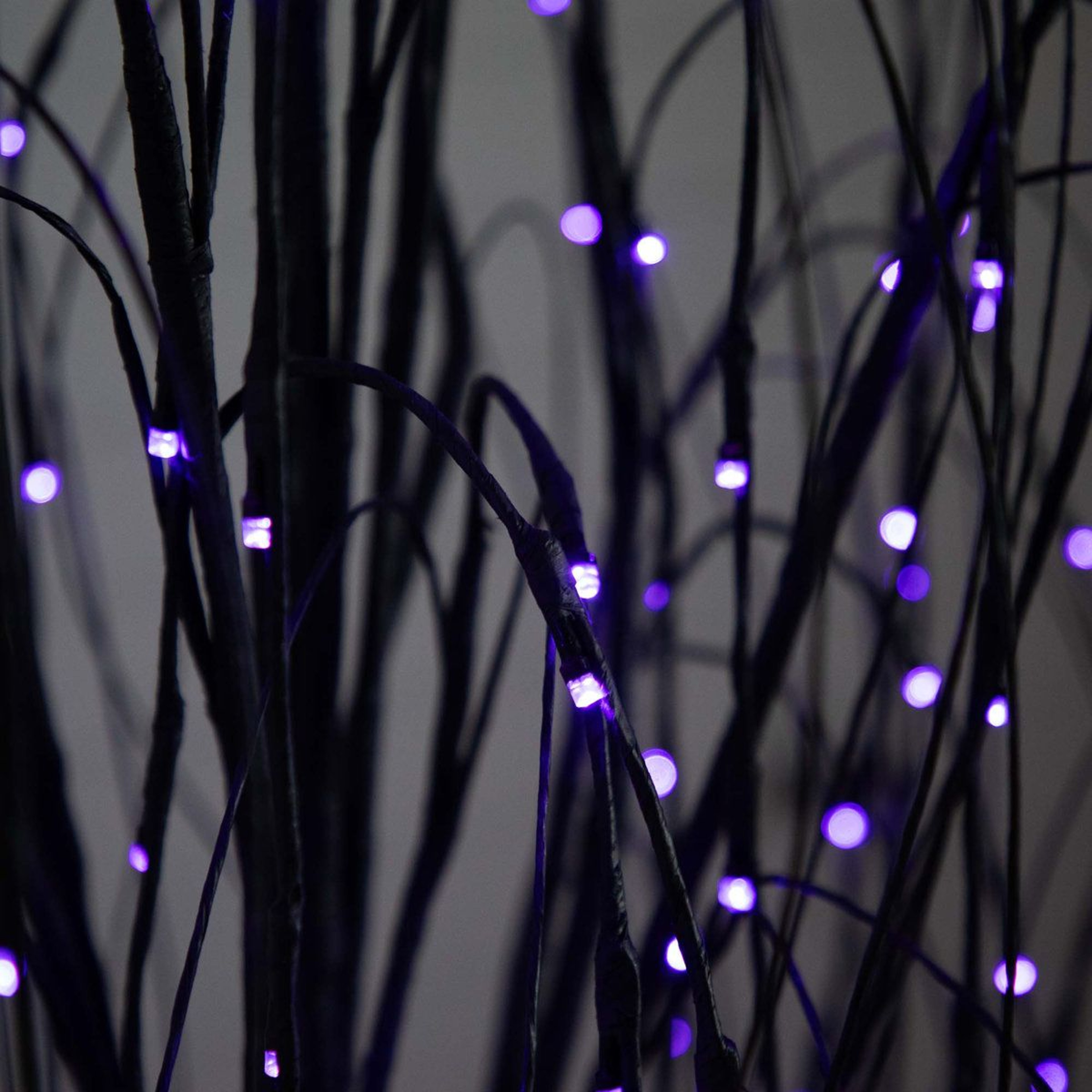 6 Ft PreLit Halloween Black Willow Tree With 160 Orange And Purple LED Lights 4