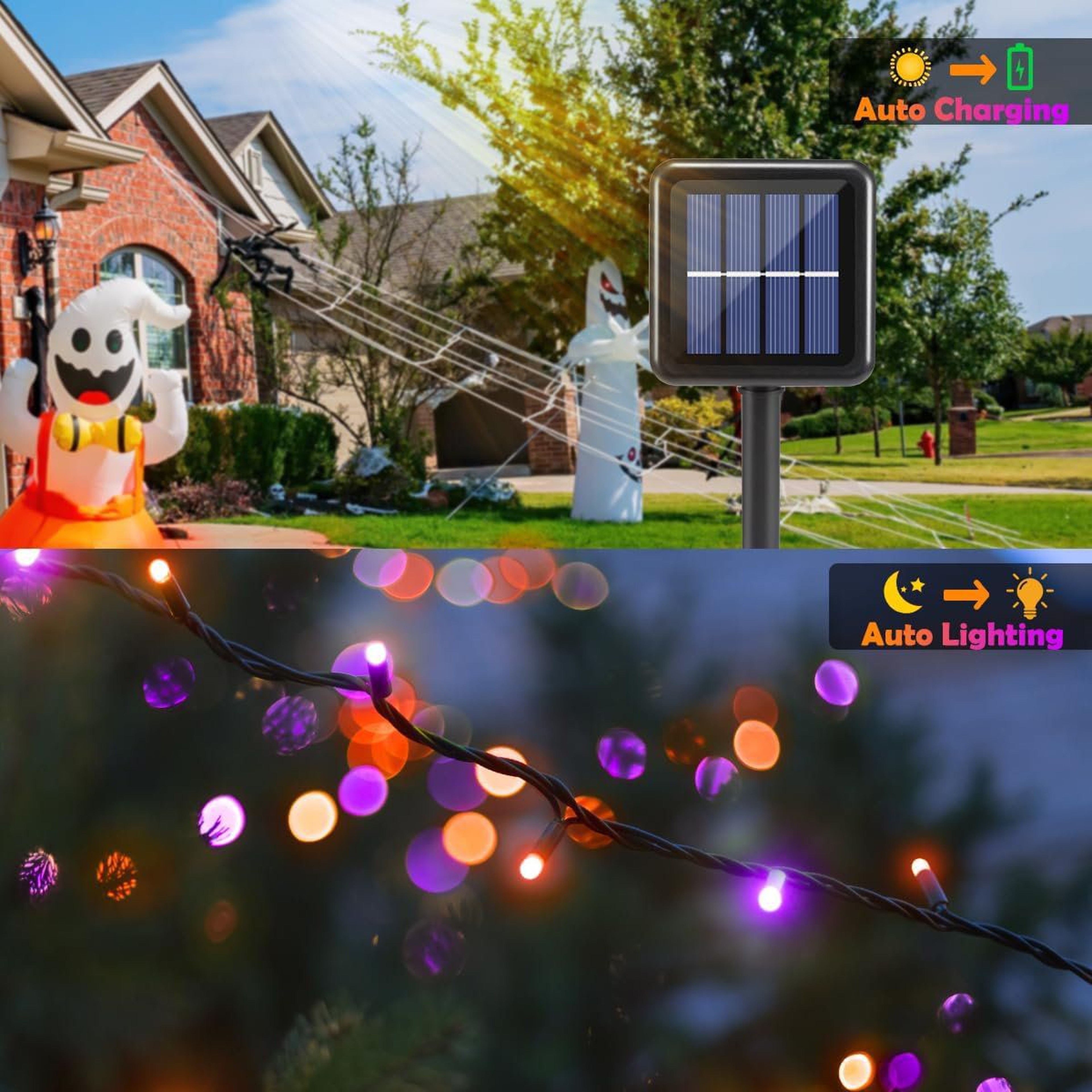 Halloween Black Plastic Lantern With Decorative Phrases 2