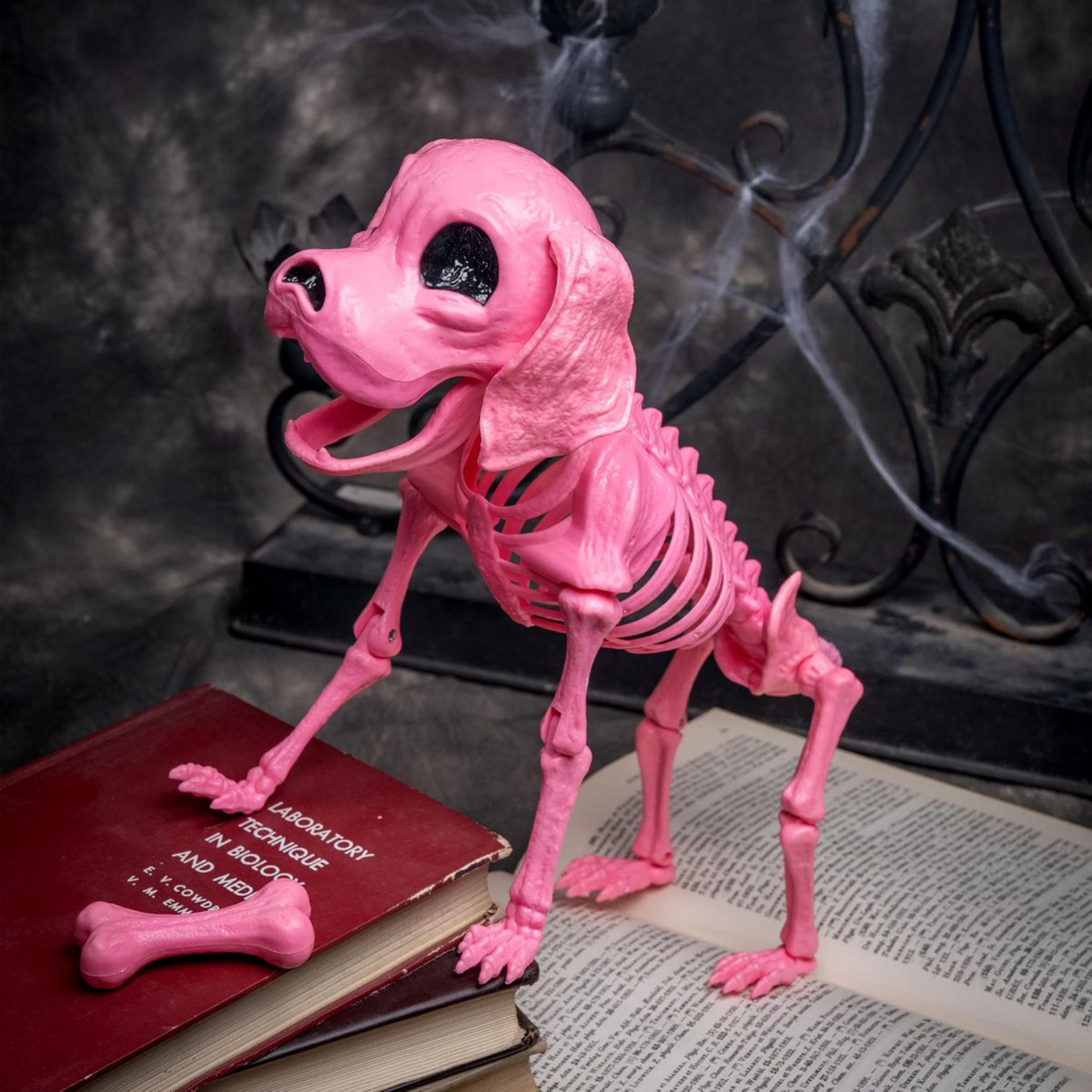 Posable Pink Dog Skeleton Halloween Figurine For Indoor And Outdoor Decorations 3