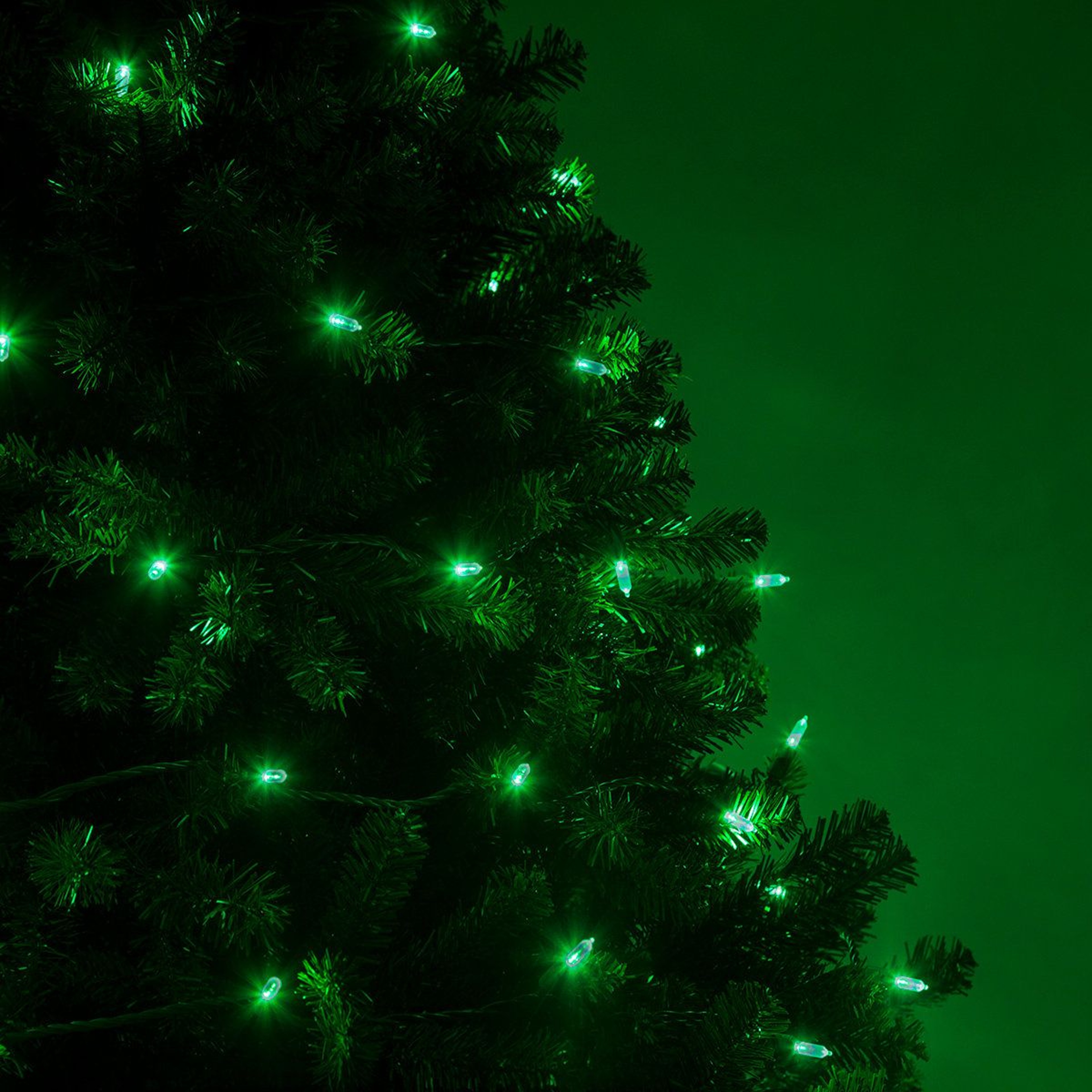 255 Ft Green LED String Lights With 50 Steady Glow Bulbs For Indoor And Outdoor Decor 2
