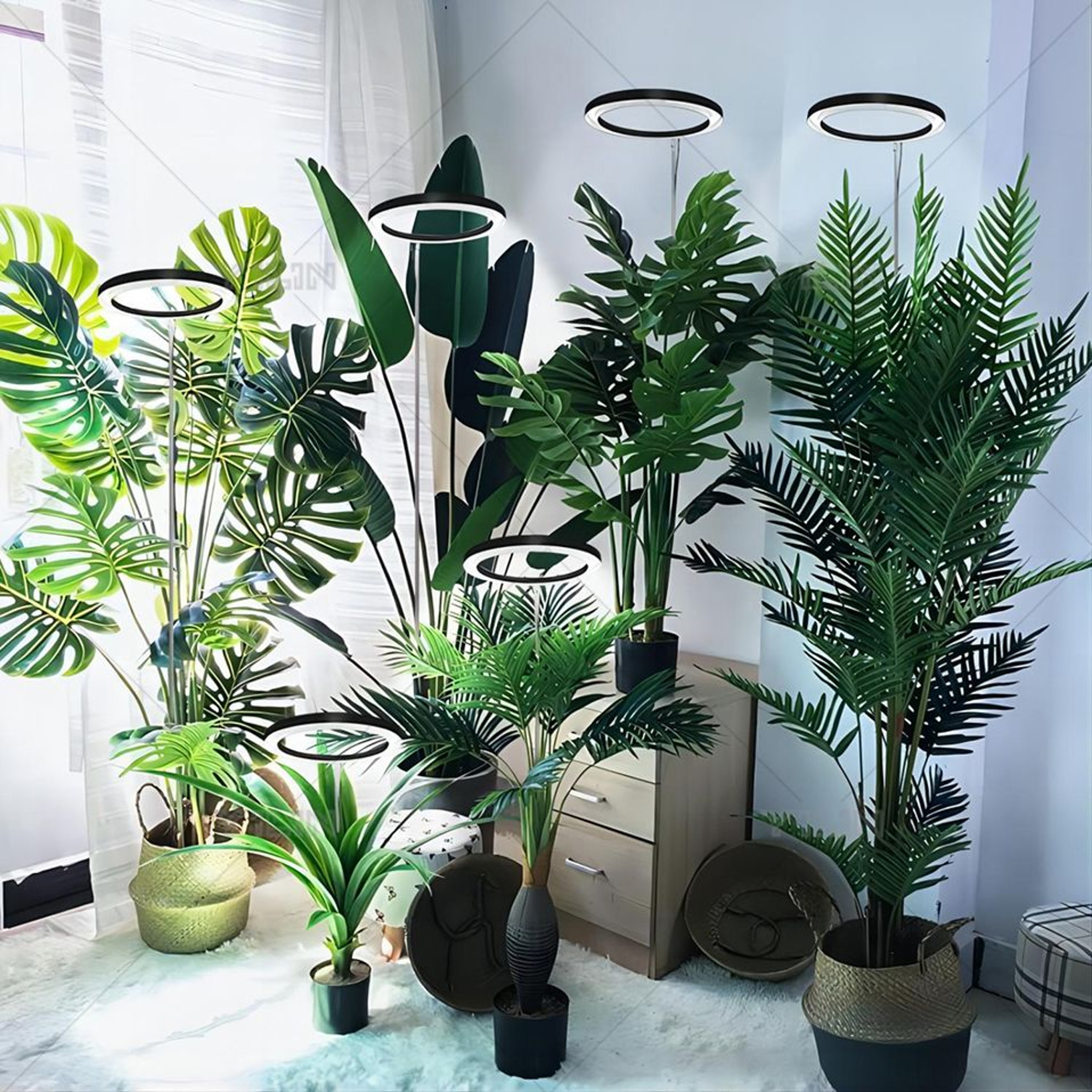 Height Adjustable LED Ring Grow Light Full Spectrum Plant Light for Indoor Plants with USB Power