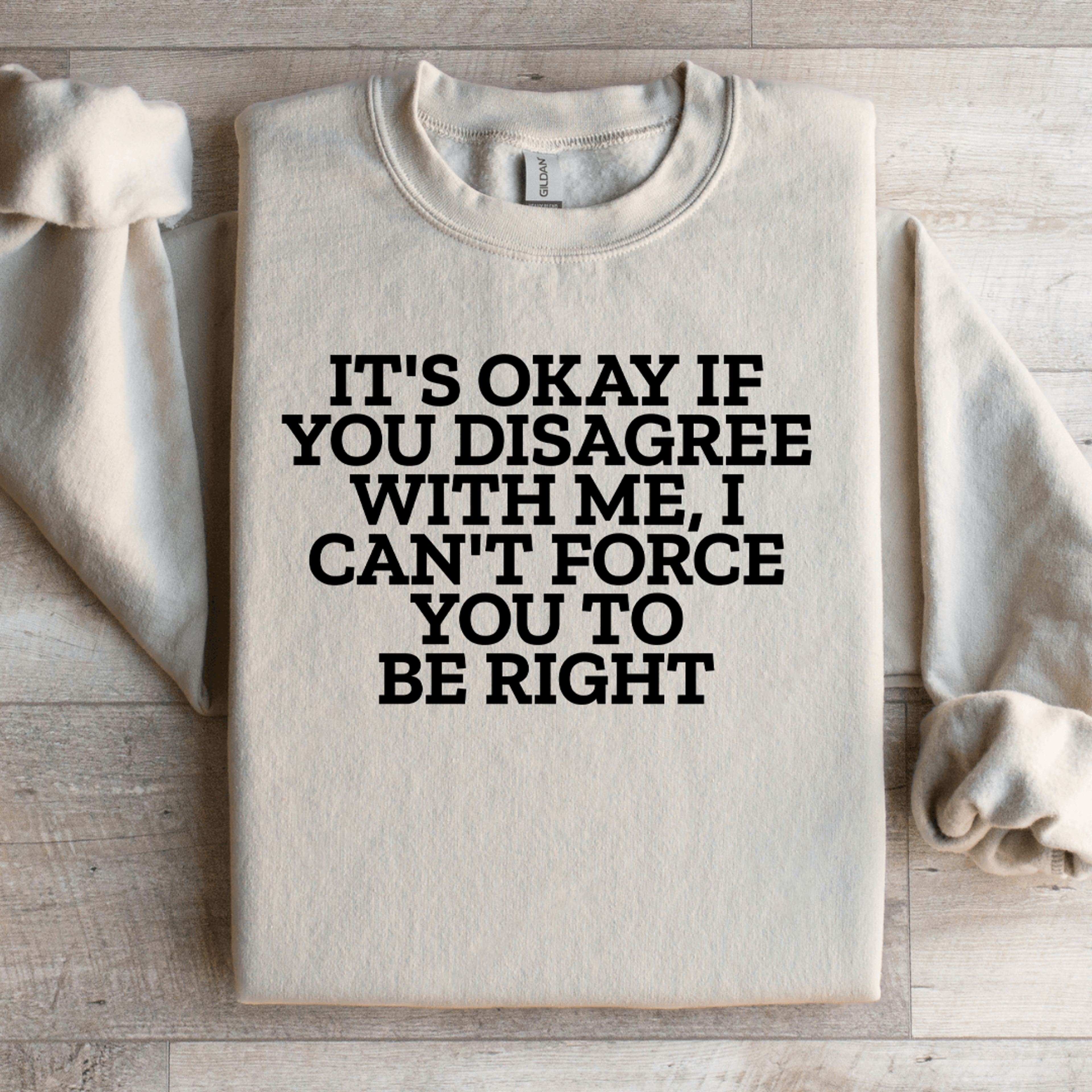 Its Okay If You Disagree With Me Sweatshirt 3