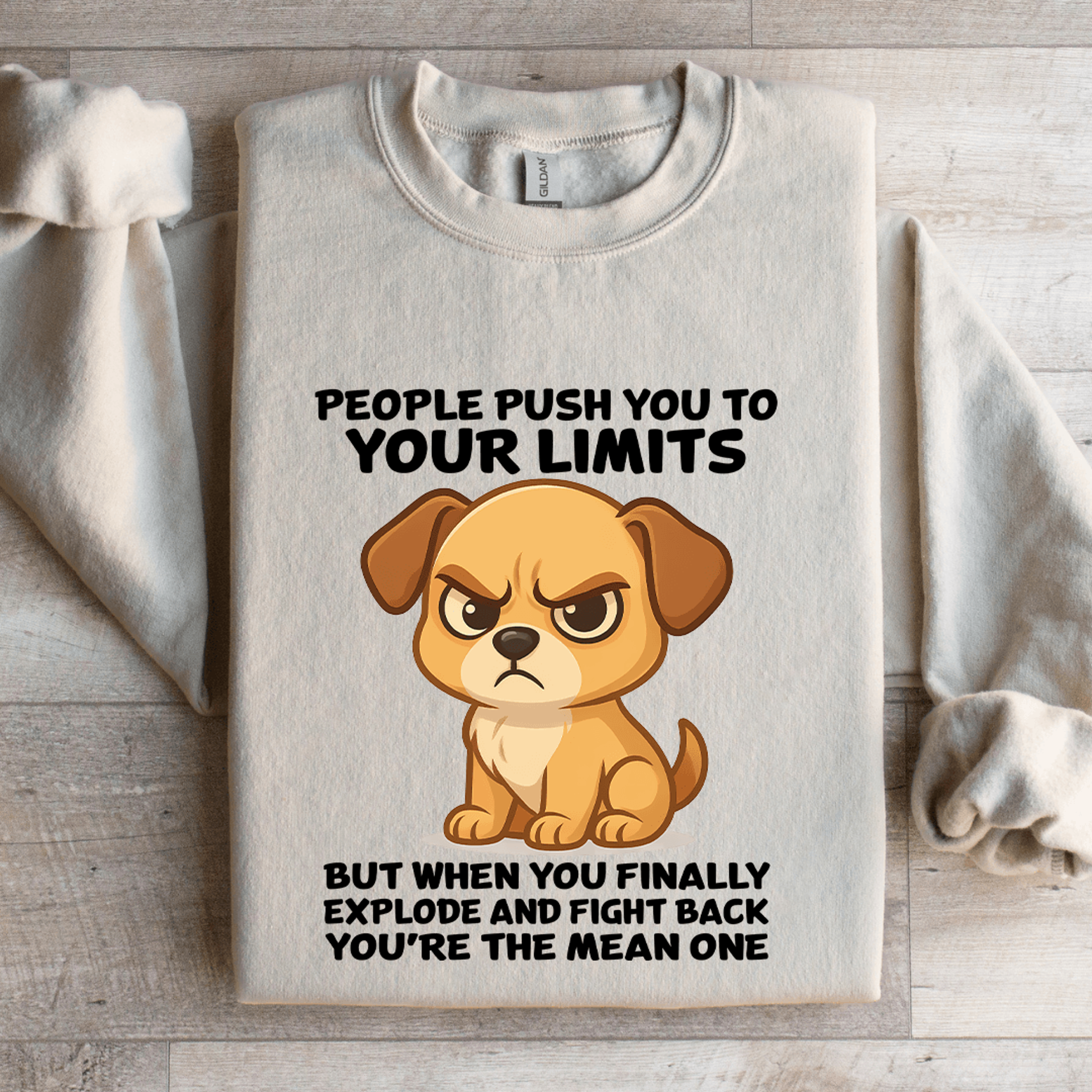 People Push You To Your Limits Sweatshirt 4