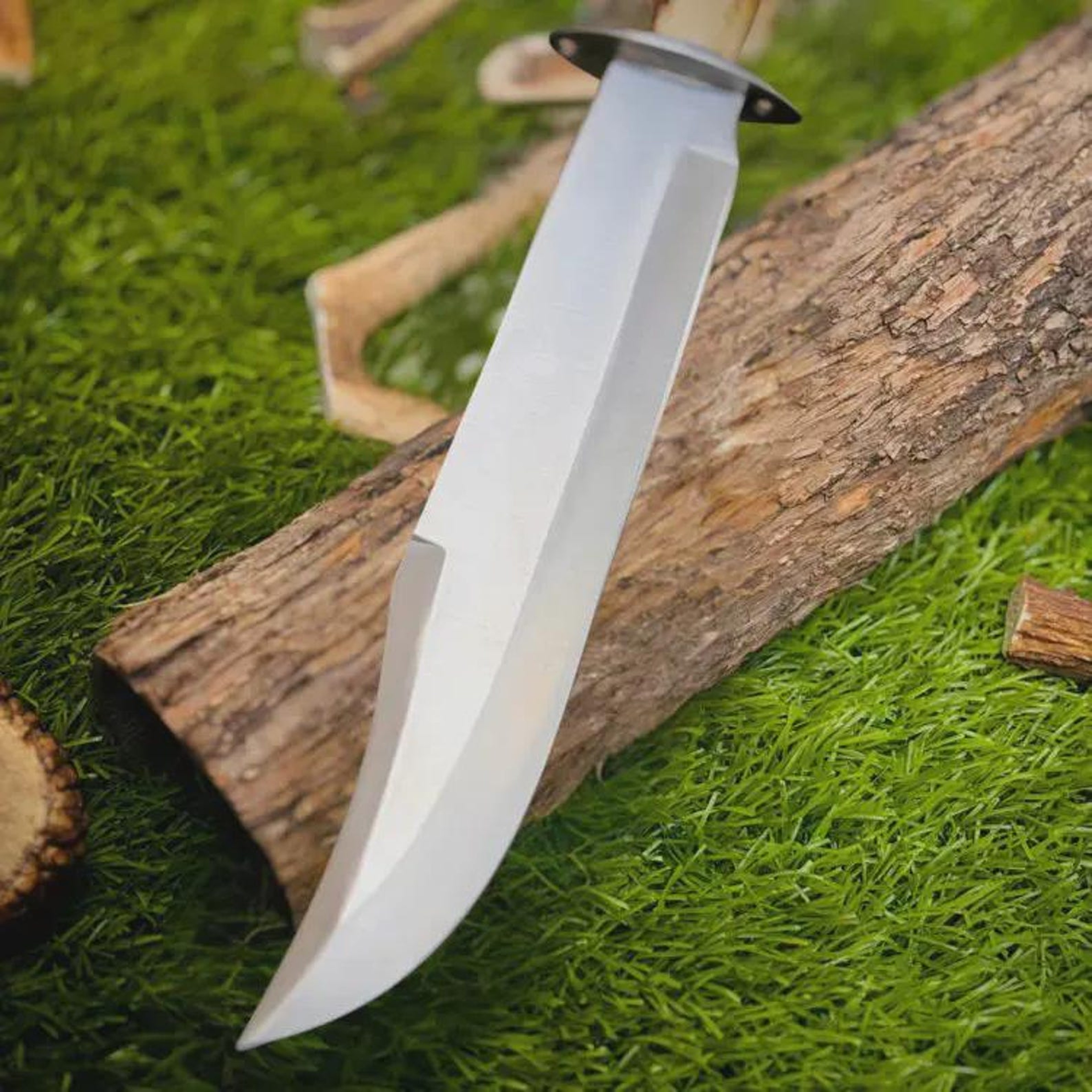 Premium Bowie Knife D2 Steel Blade Stag Antler Handle Camping Hunting Tool 3