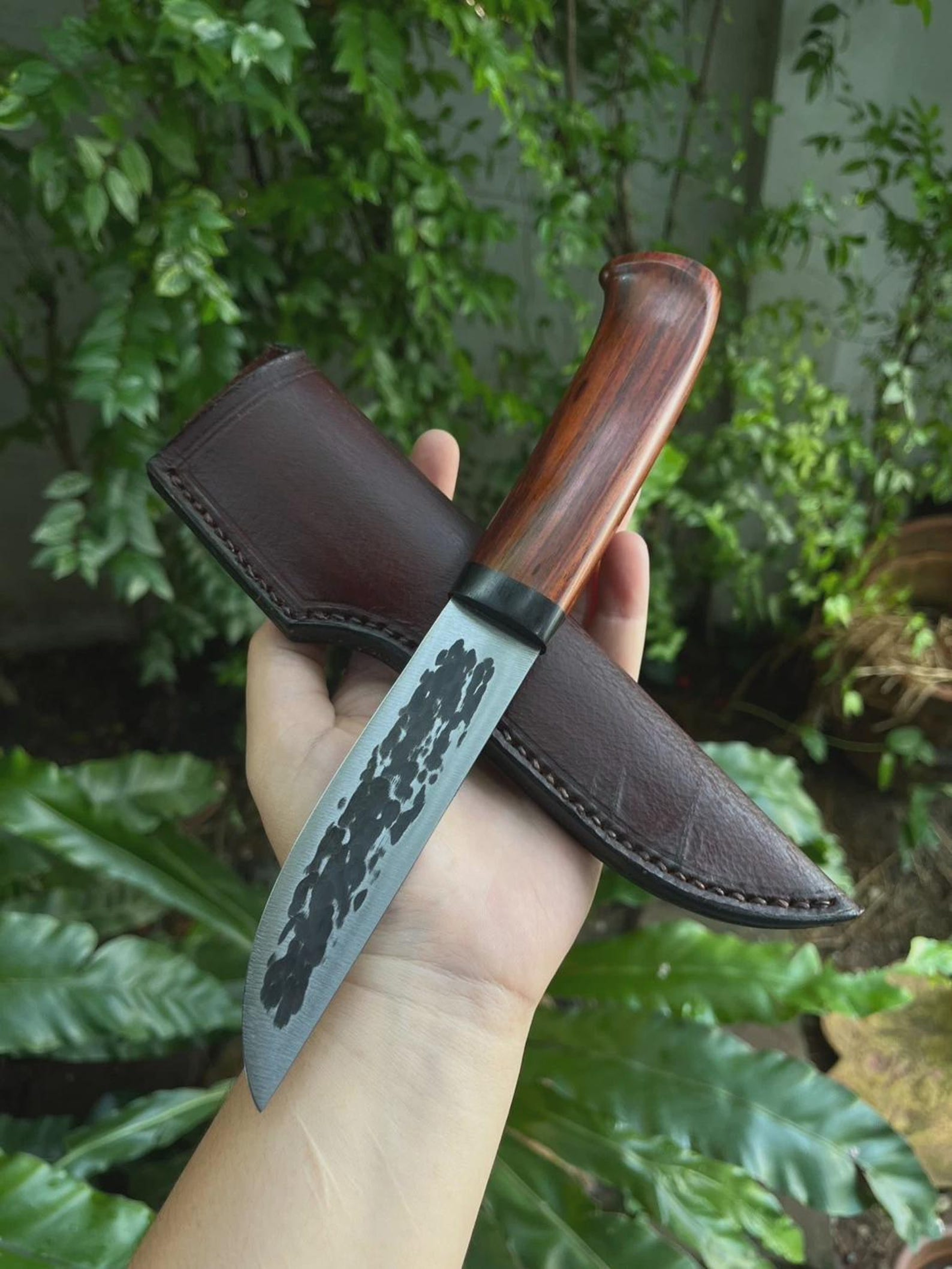 Premium Fixed Blade Hunting Knife Rosewood Handle Leather Sheath Collector Gift 1
