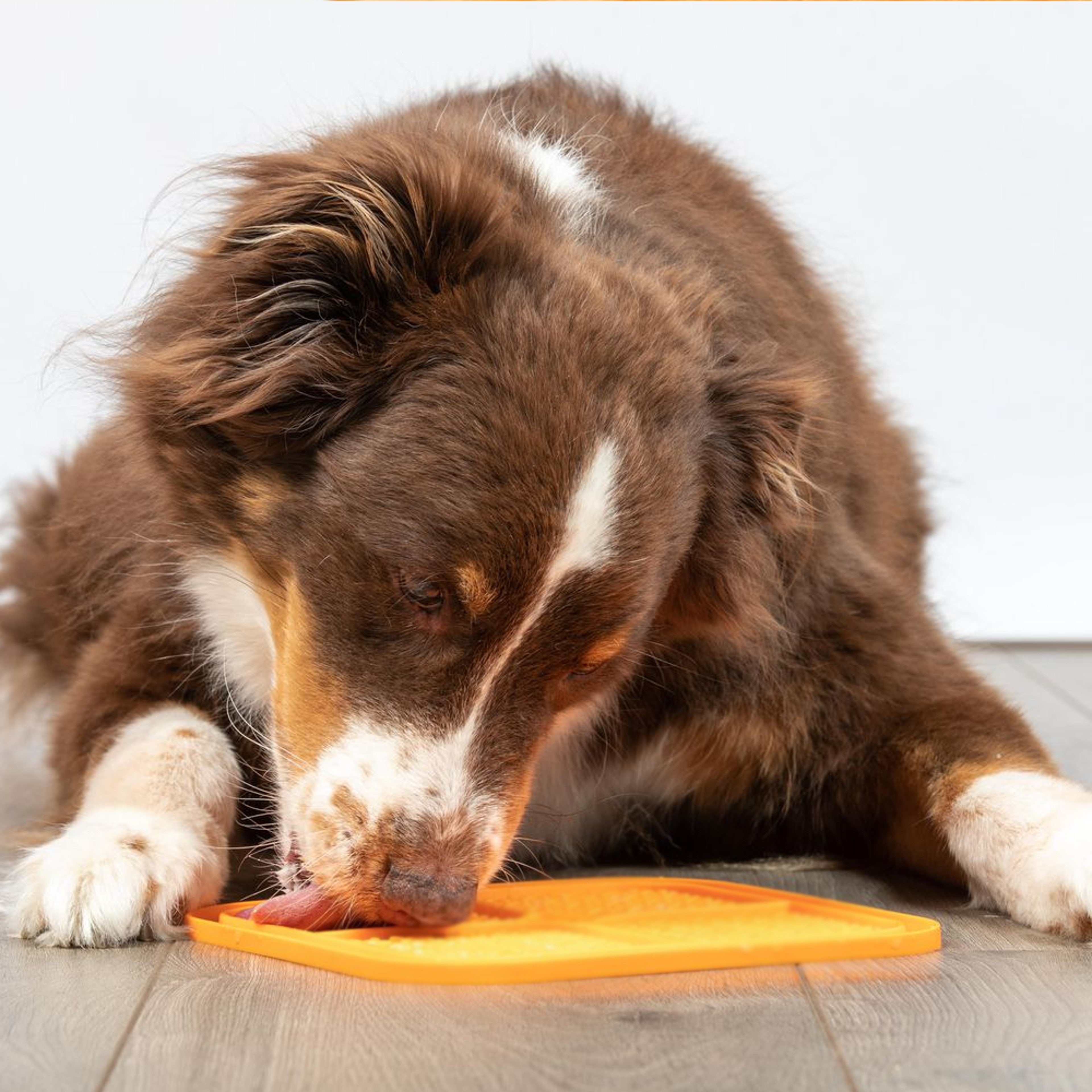 Silicone Pet Licking Pad – view 1