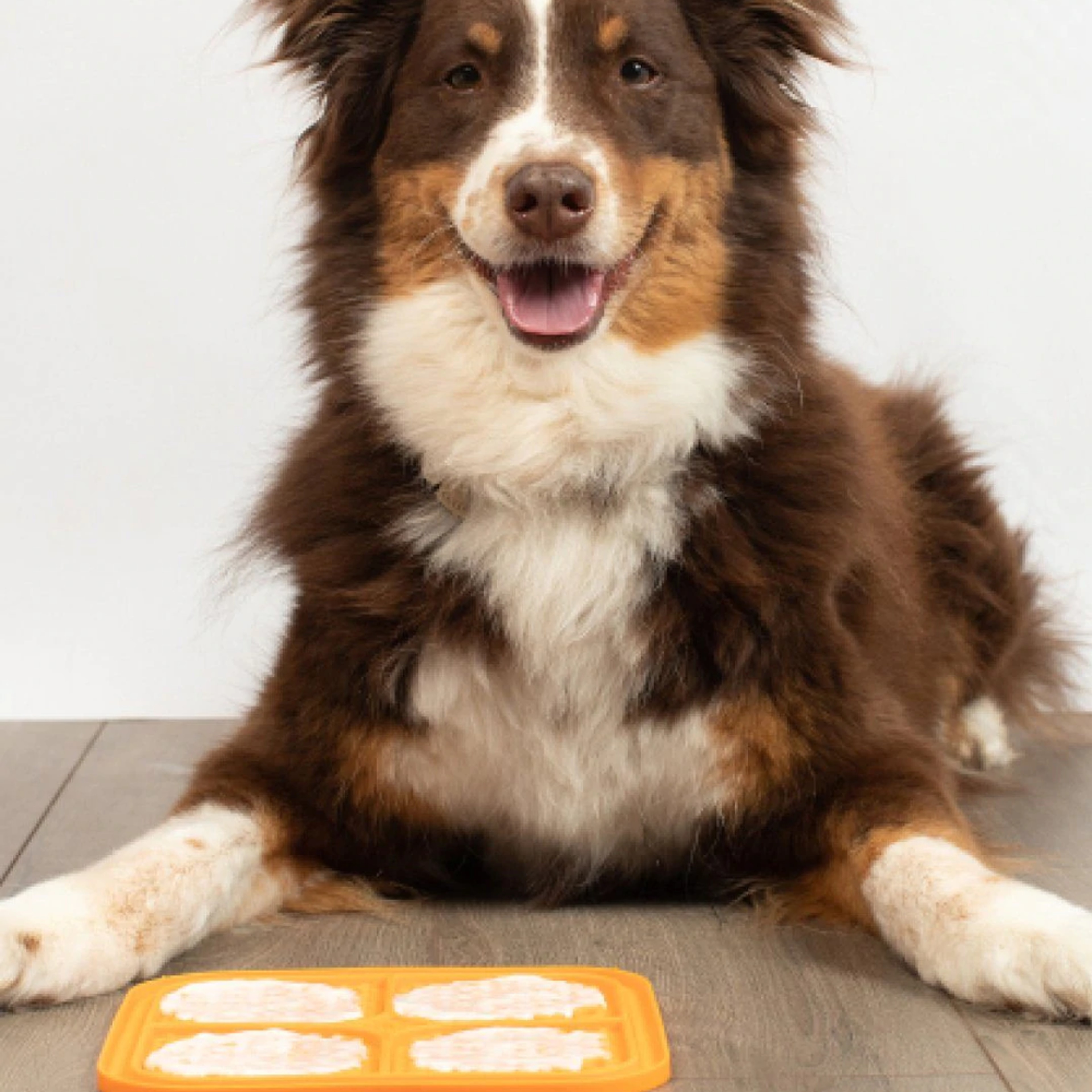 Silicone Pet Licking Pad – view 5