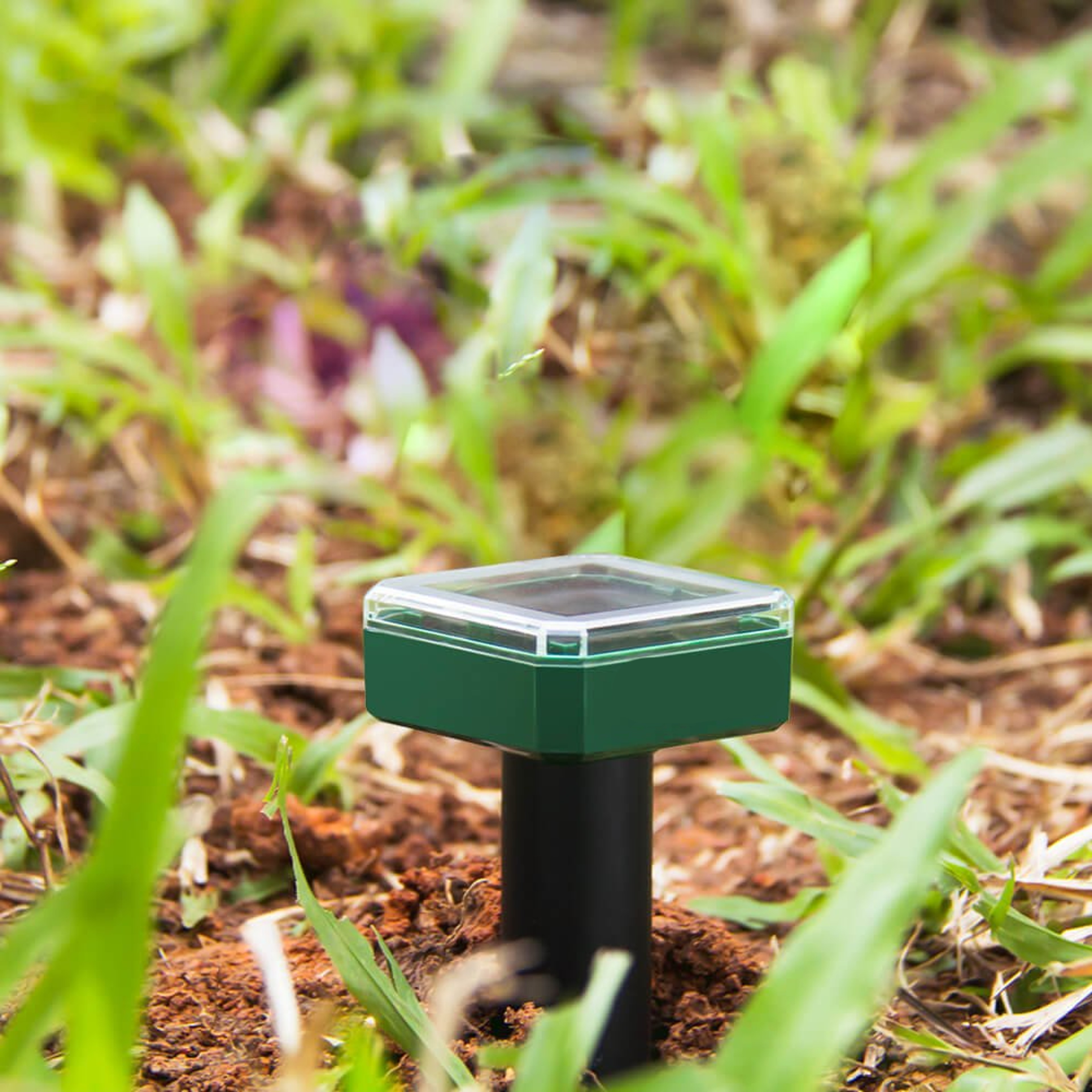 Solar Powered Mole Repeller – view 1