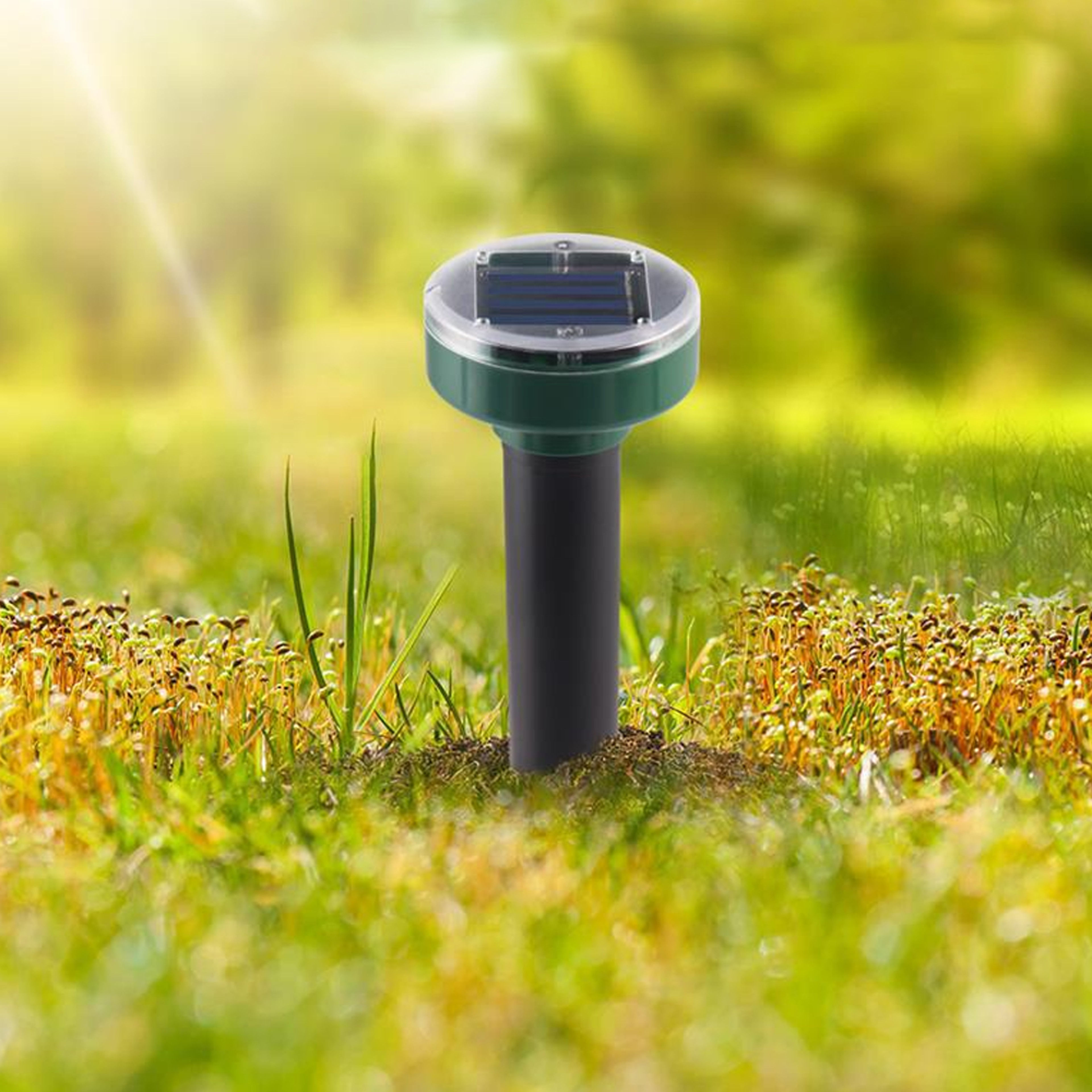 Solar Powered Mole Repeller – view 2