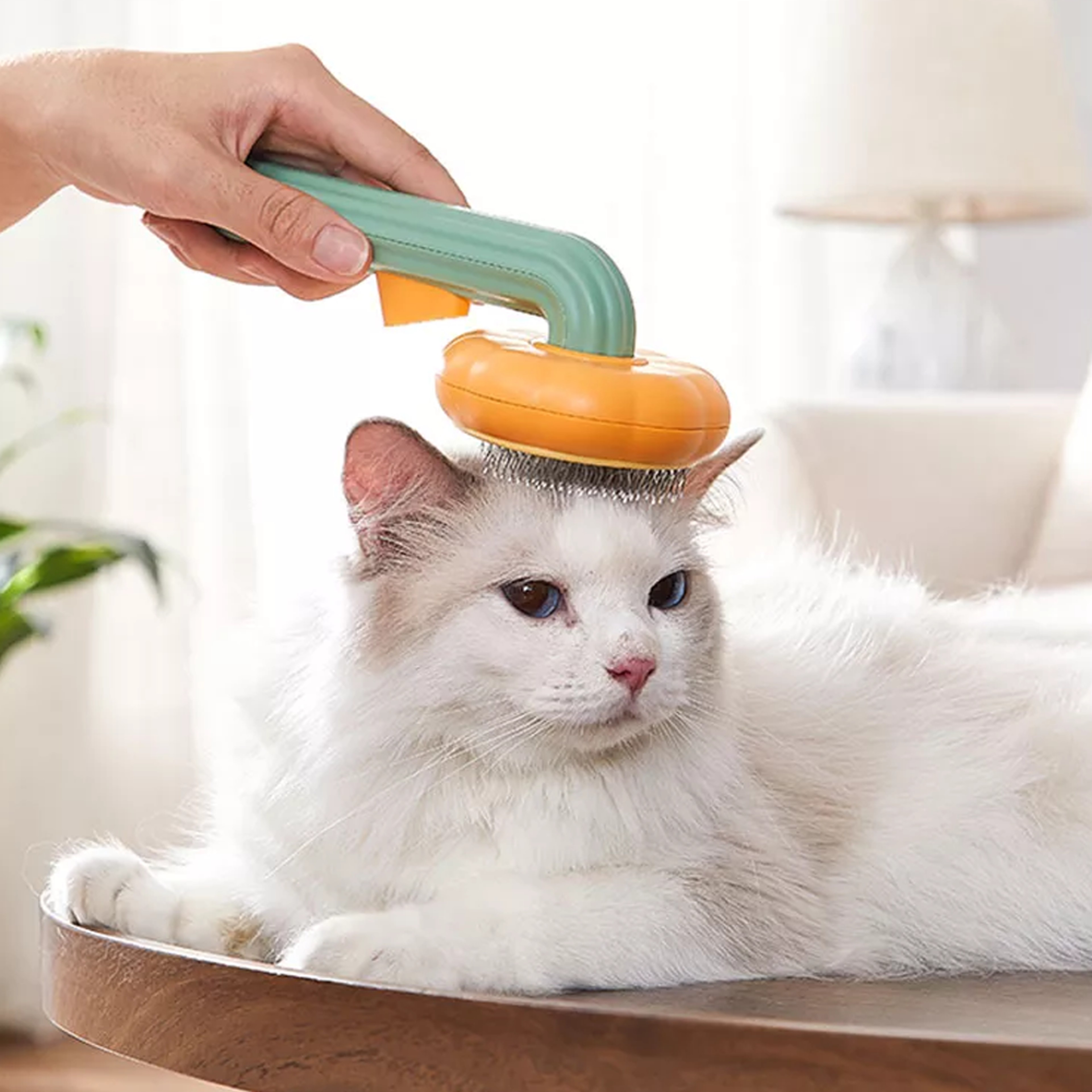 Pumpkin Pop Pet Brush – view 1