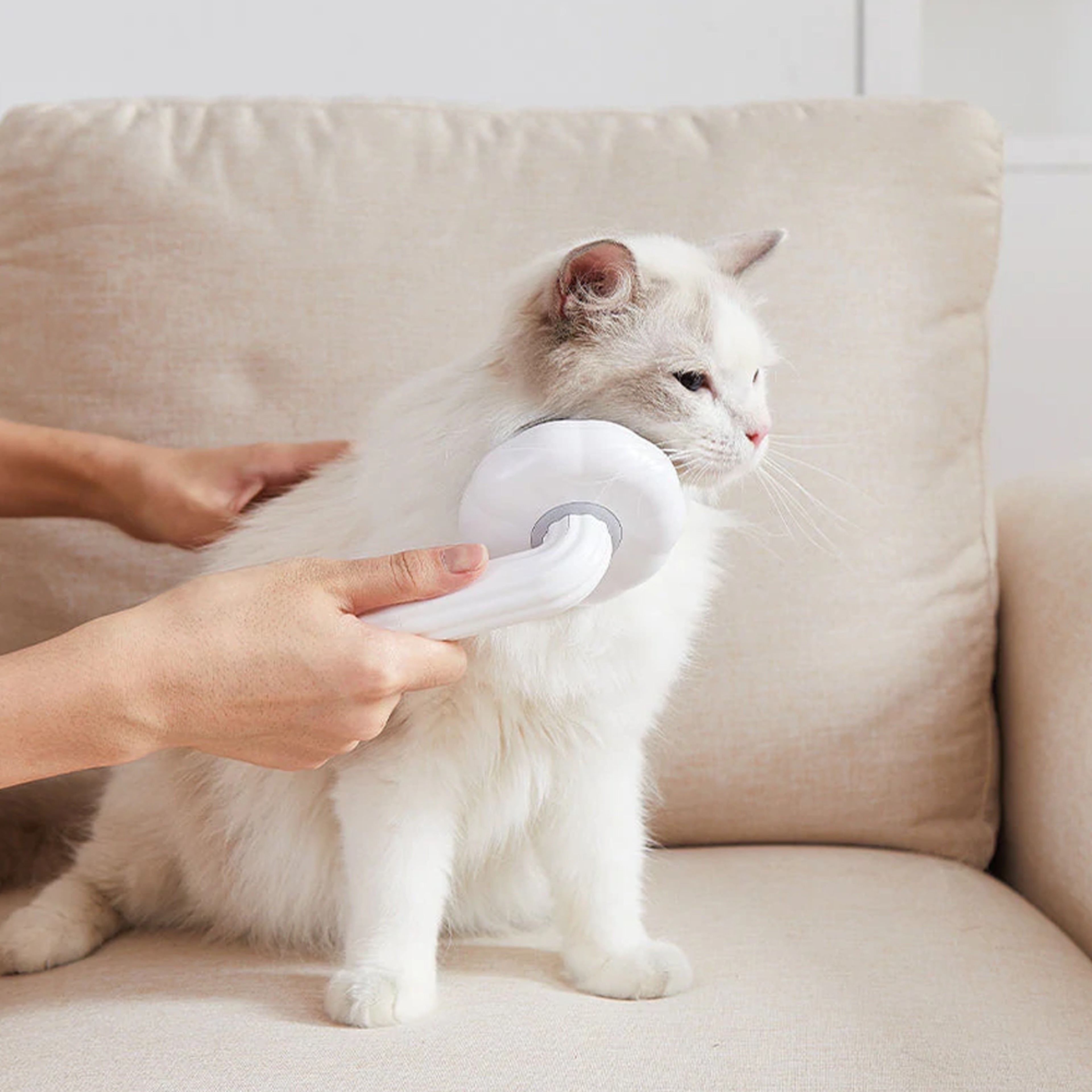 Pumpkin Pop Pet Brush – view 4