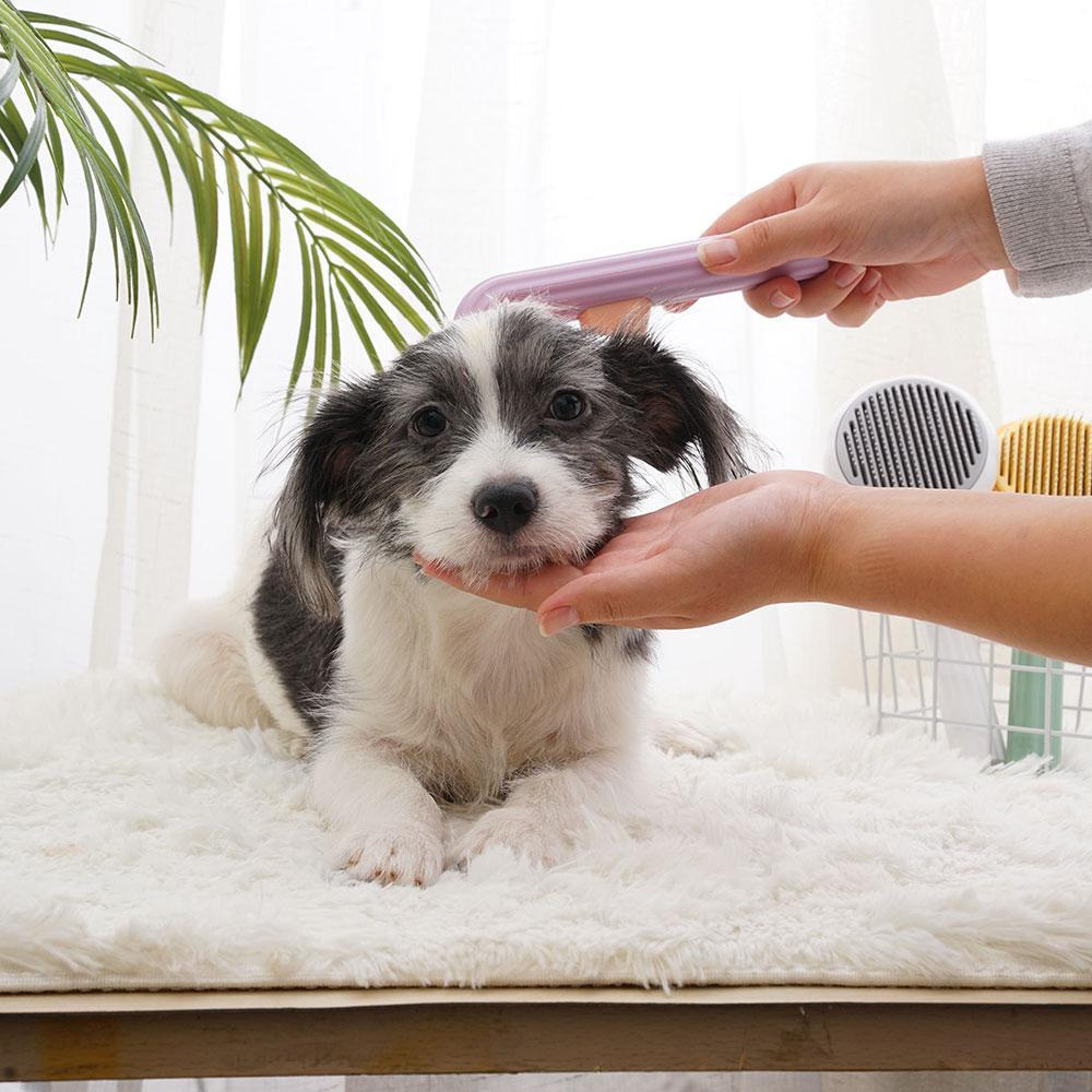 Pumpkin Pop Pet Brush – view 5