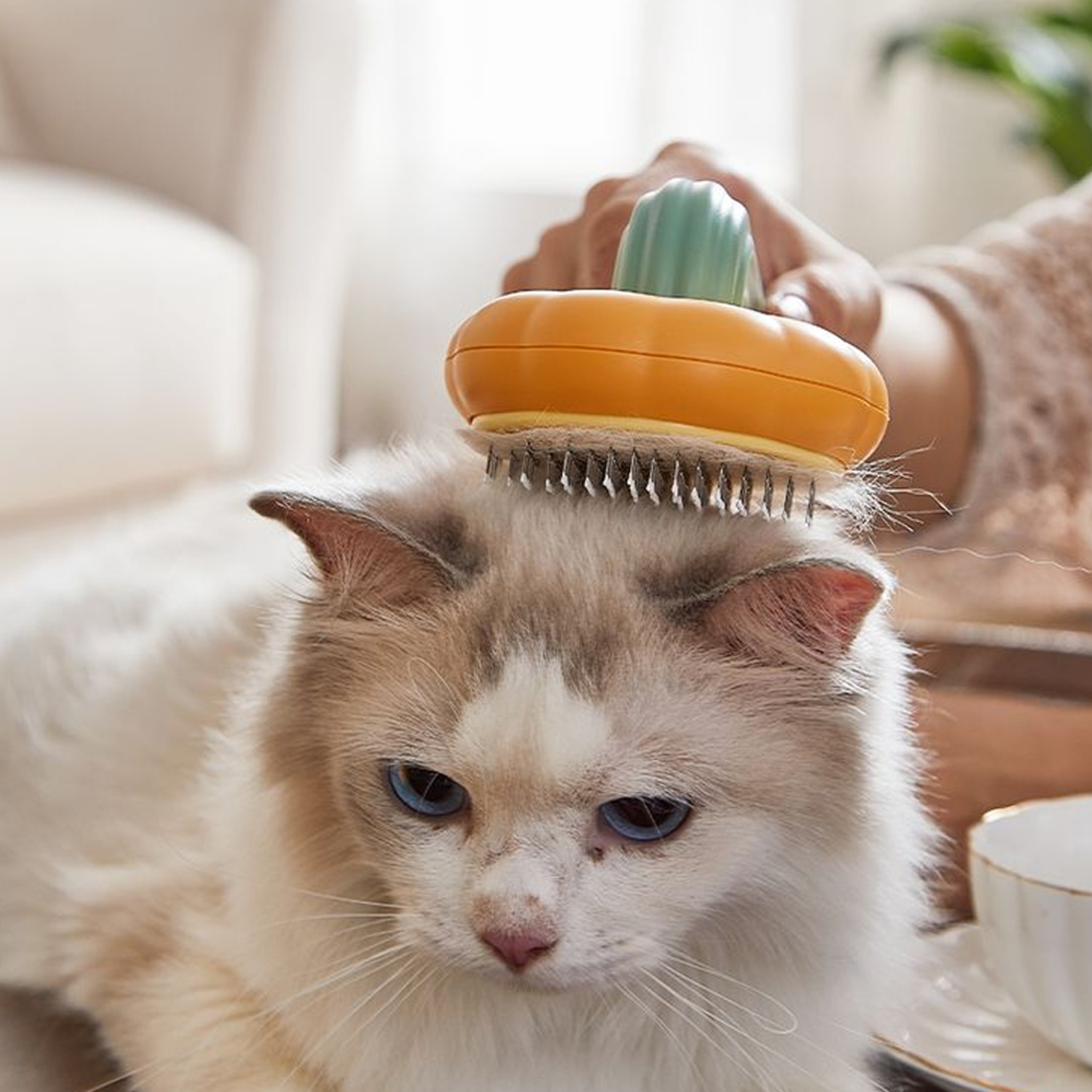 Pumpkin Pop Pet Brush – view 6