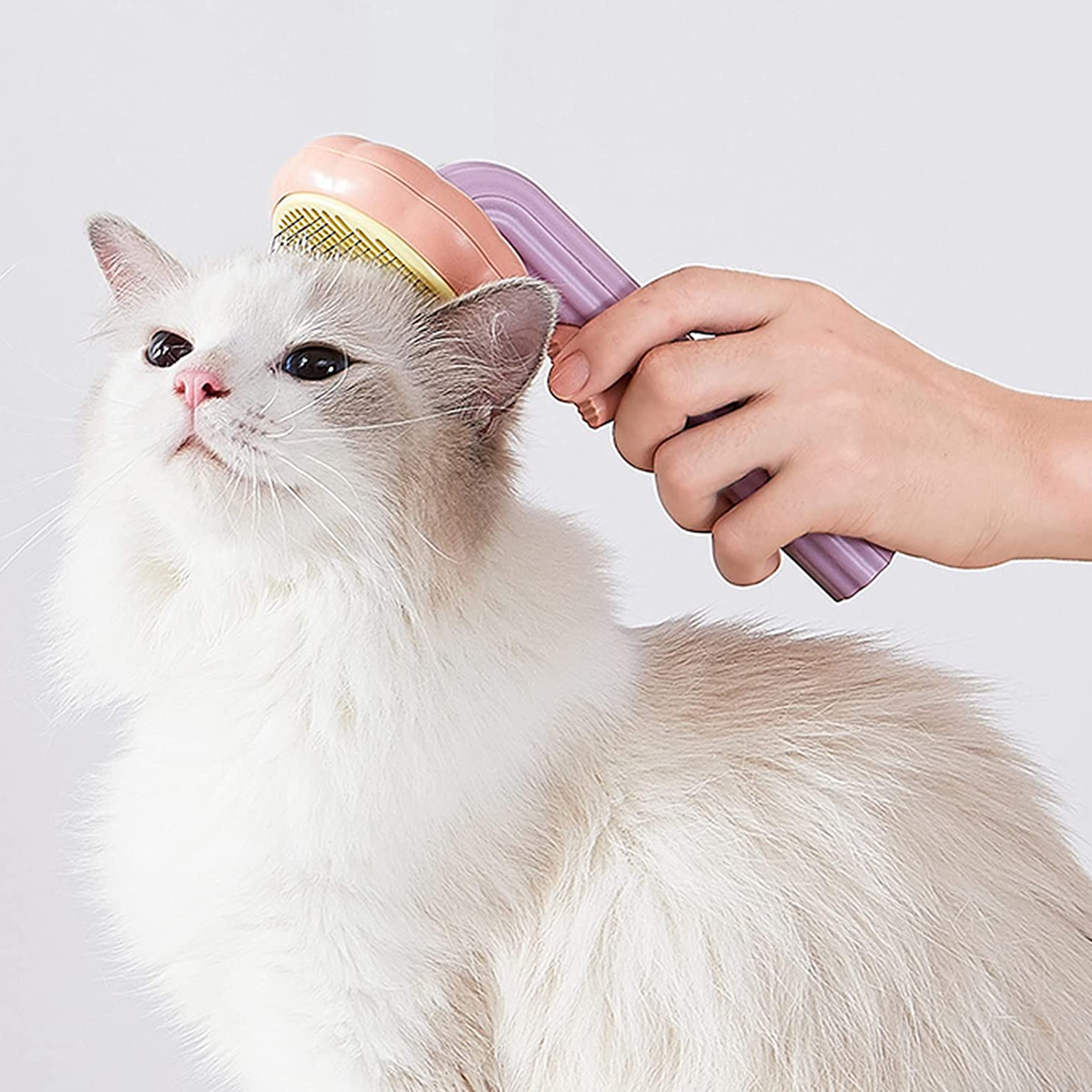 Pumpkin Pop Pet Brush – view 7