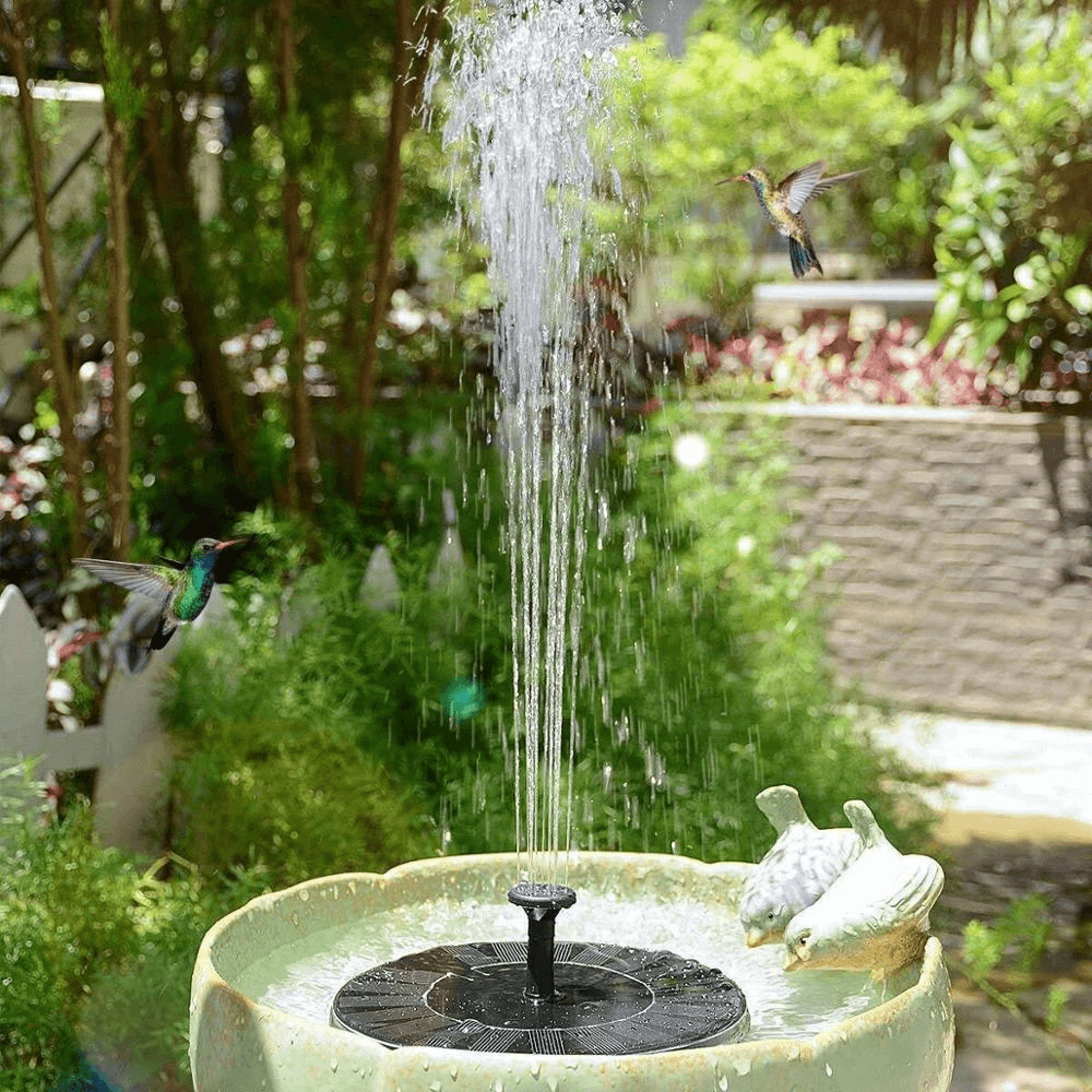 Solar-Powered Bird Fountain Kit - No Setup! – view 3