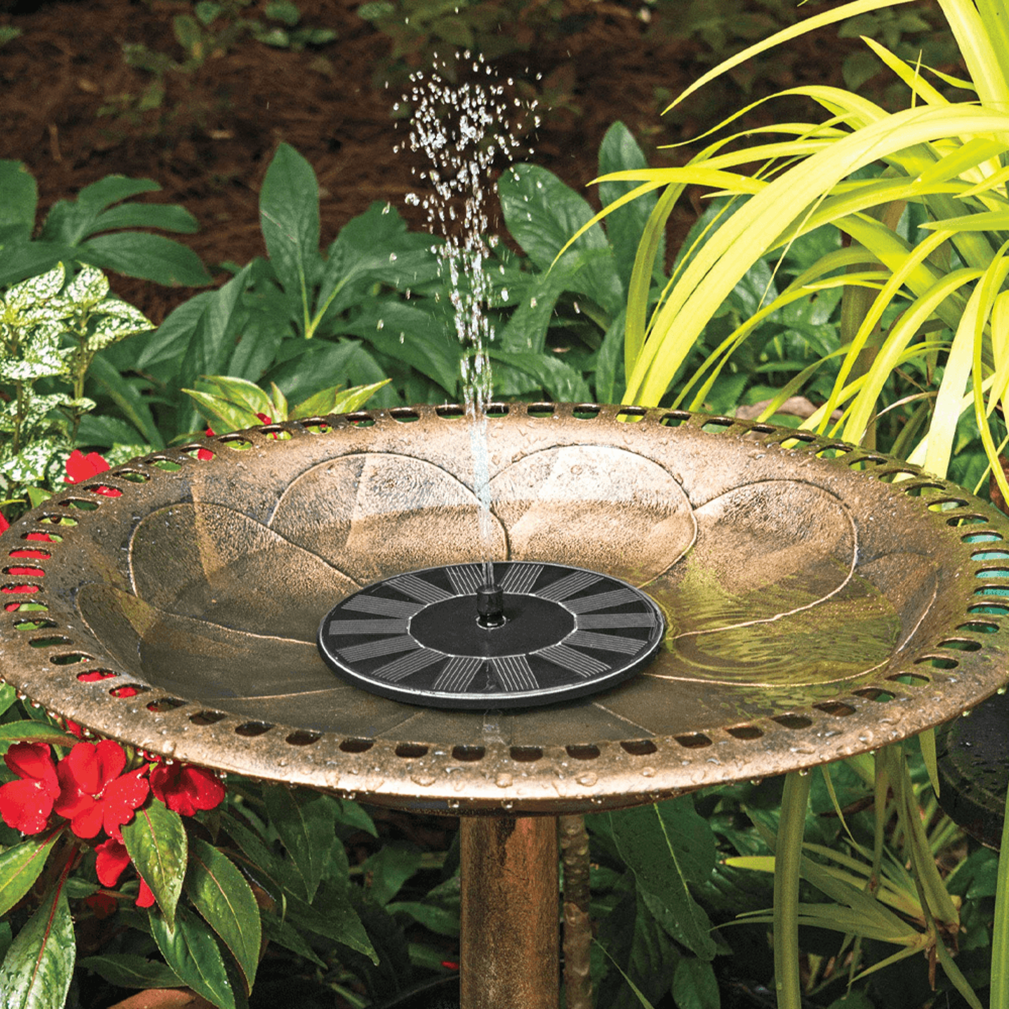 Solar-Powered Bird Fountain Kit - No Setup! – view 4