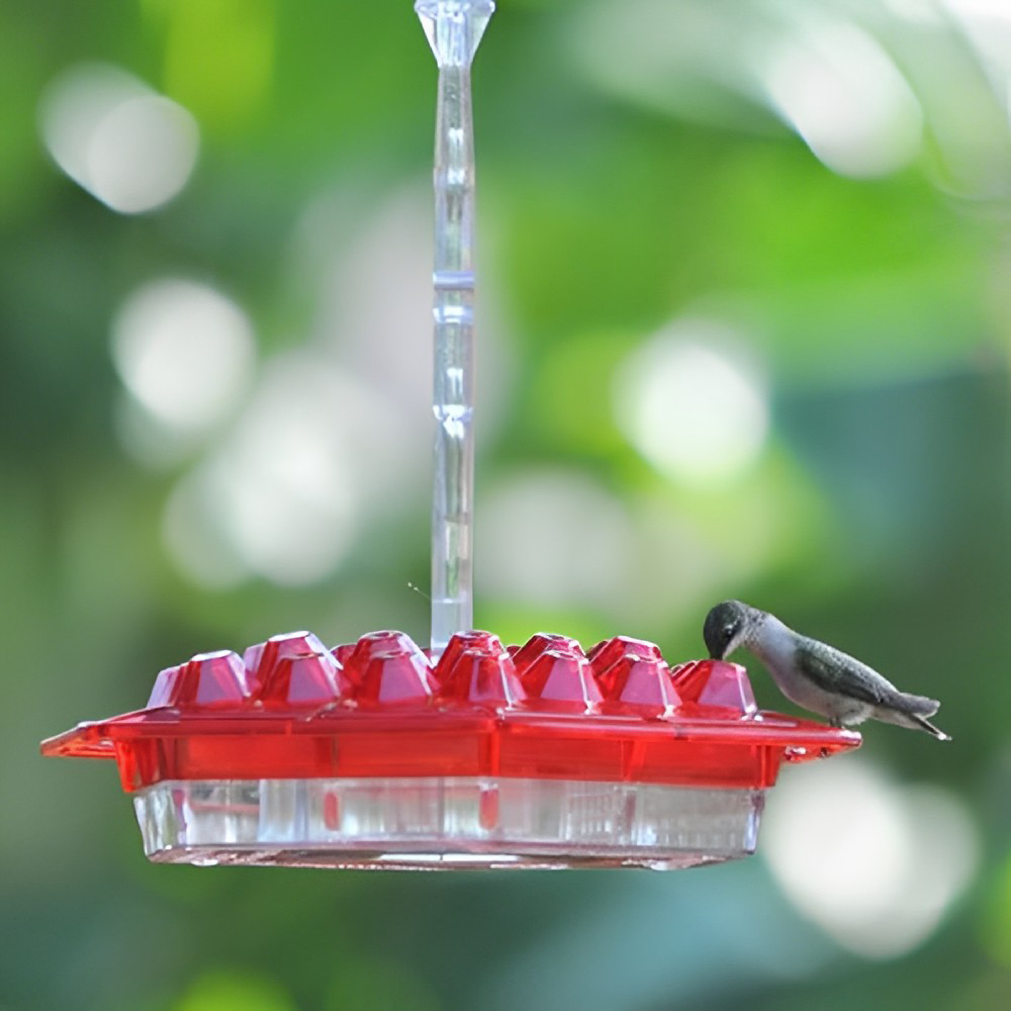 Mary's Hummingbird Feeder with Perch & Built-In Ant Moat – view 1