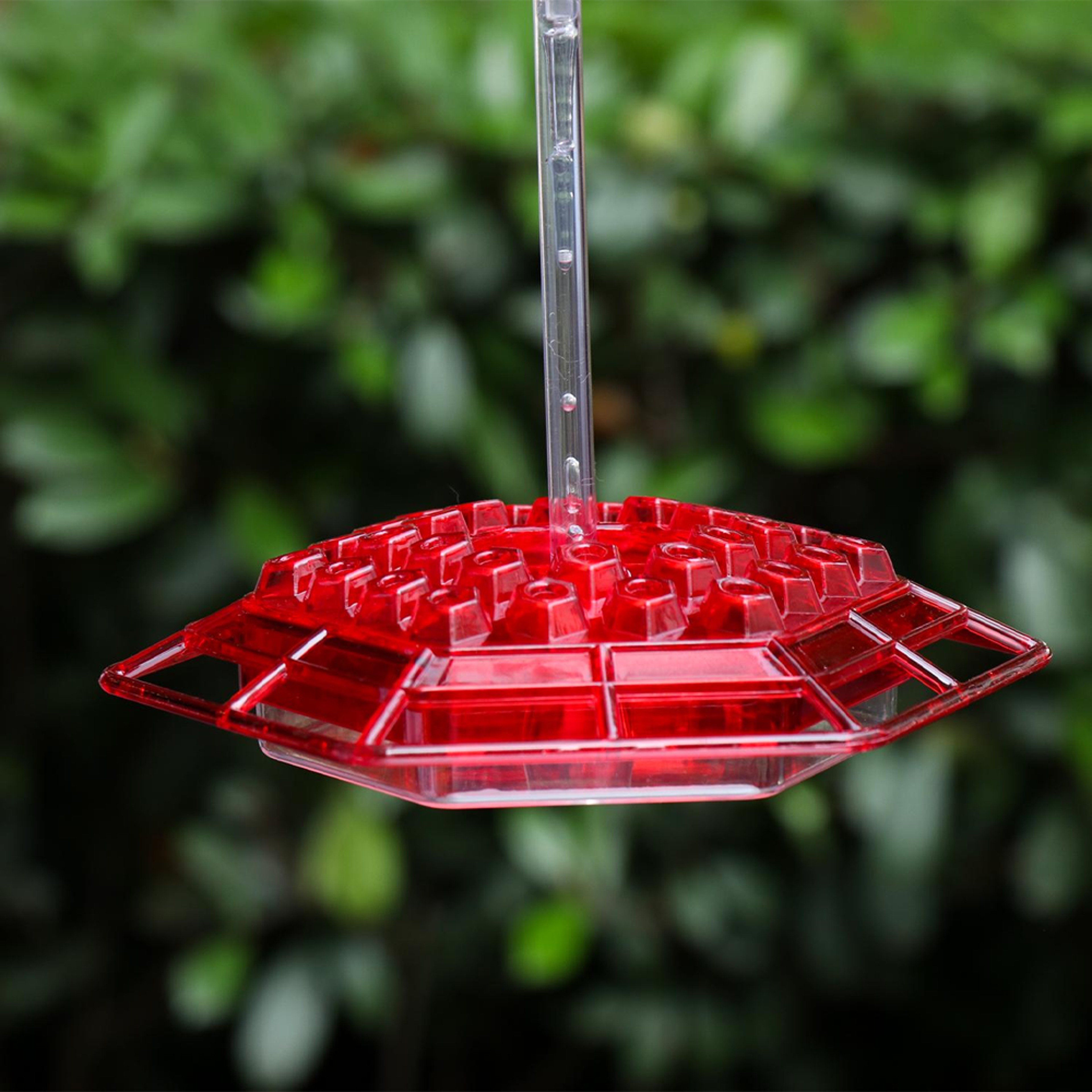 Mary's Hummingbird Feeder with Perch & Built-In Ant Moat – view 2