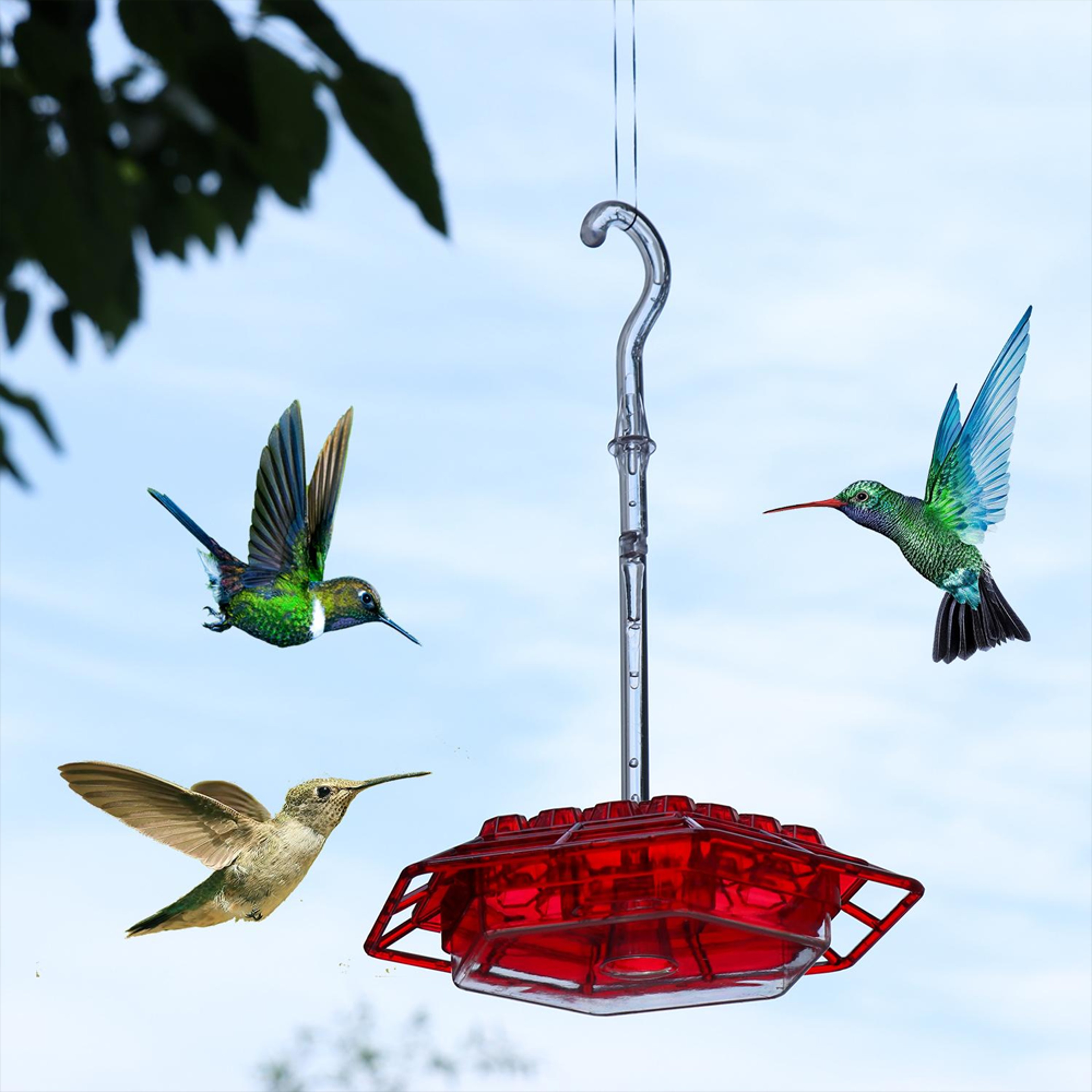 Mary's Hummingbird Feeder with Perch & Built-In Ant Moat – view 5