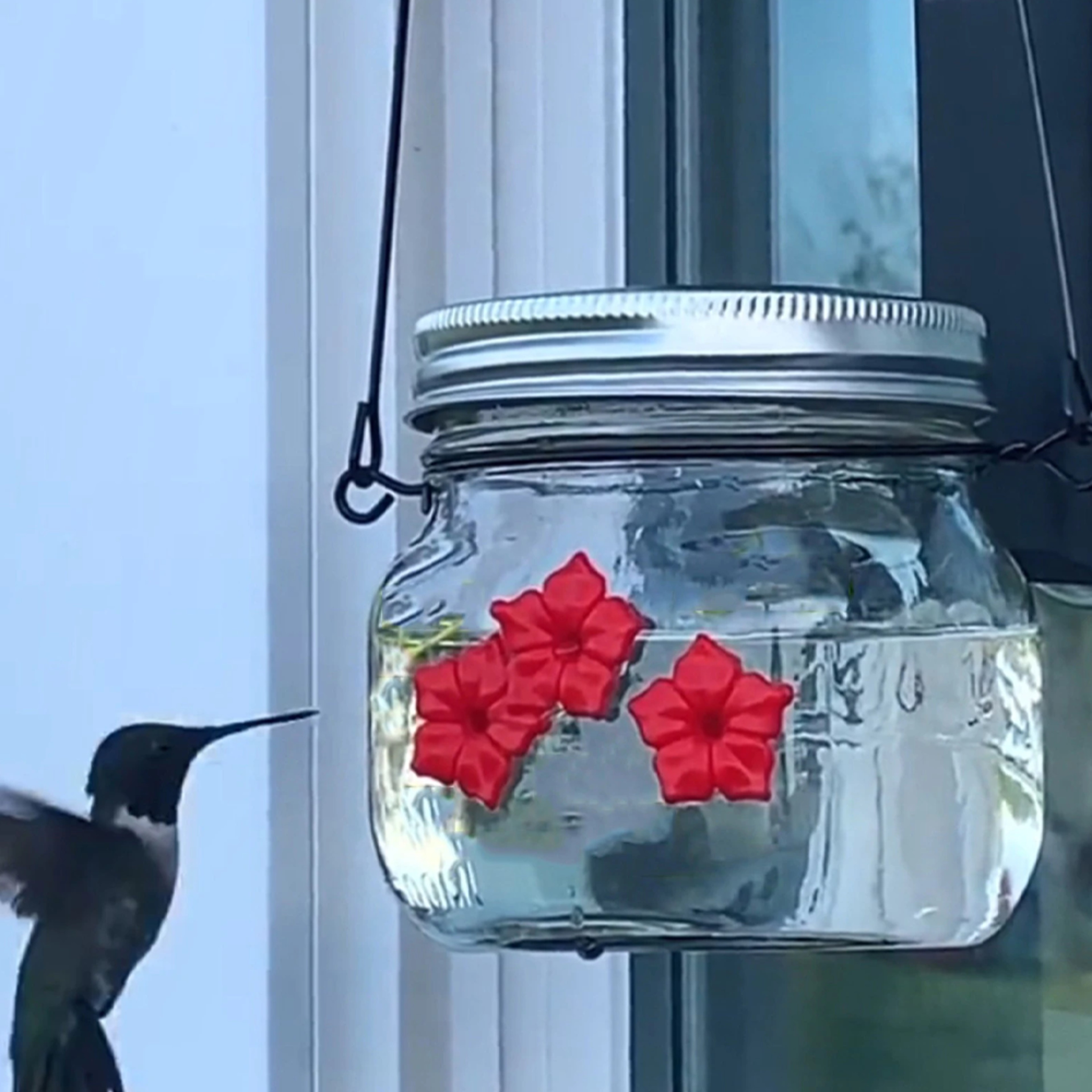 Mason Jar Hummingbird Feeder – view 3