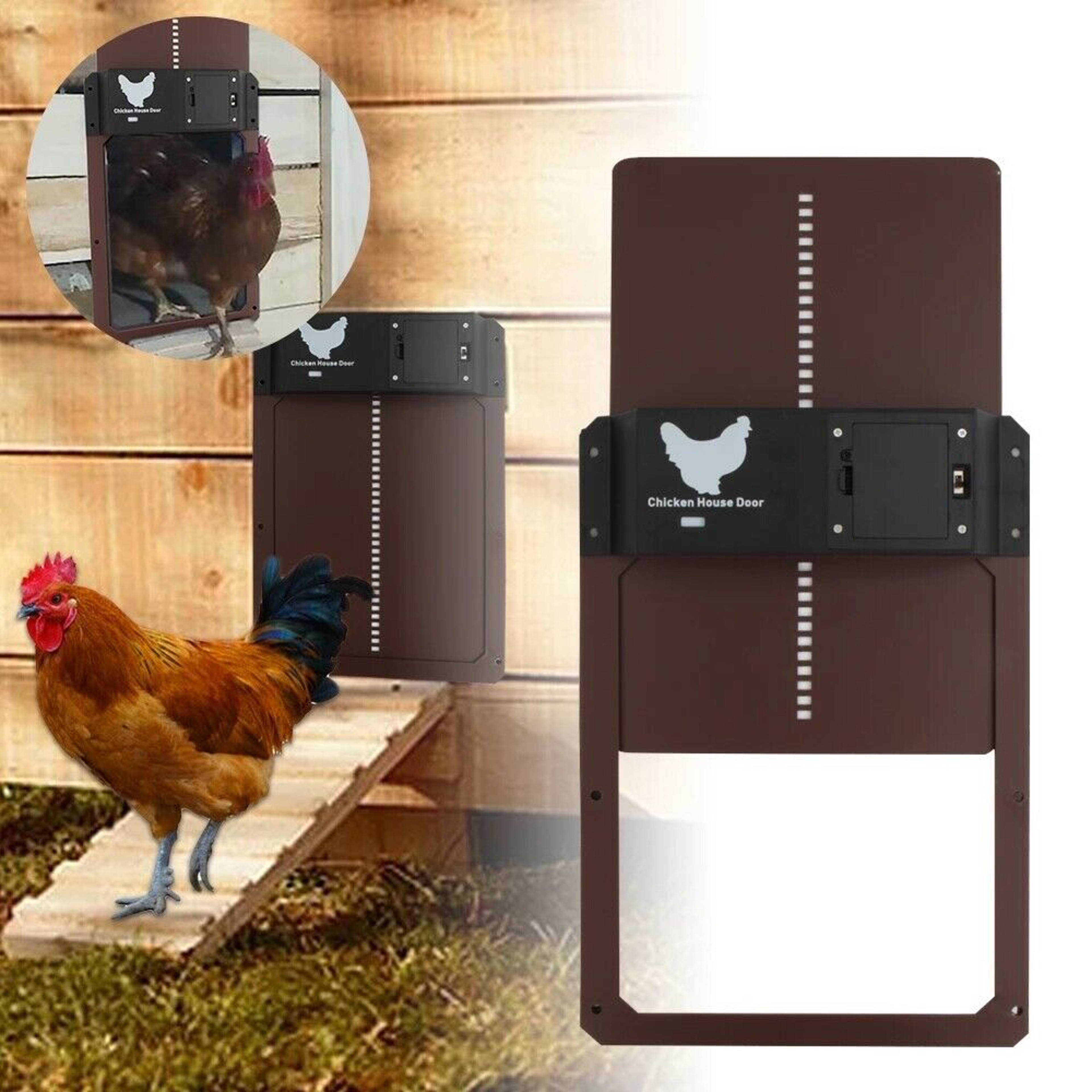 Automatic Chicken Coop Door – view 6