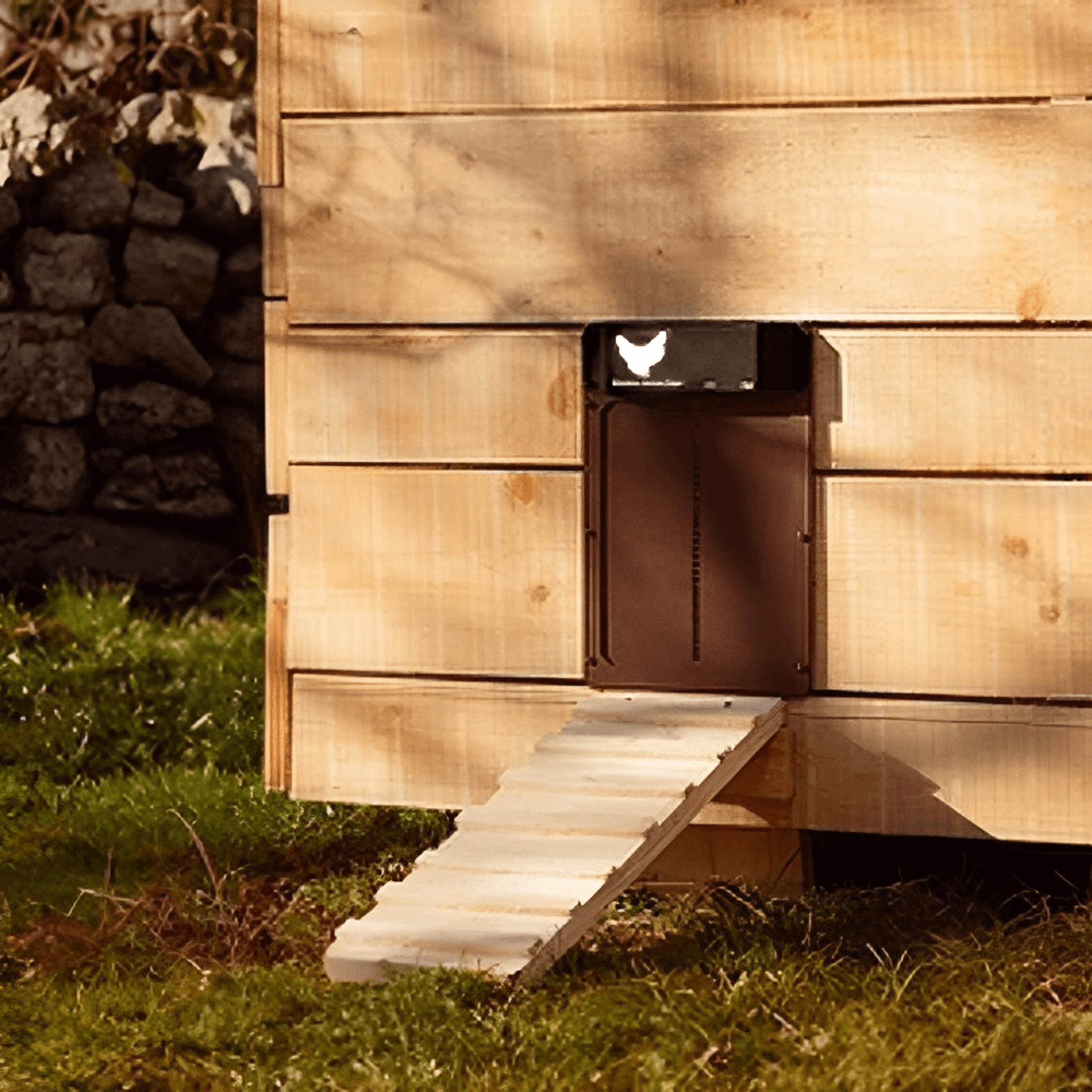 Automatic Chicken Coop Door