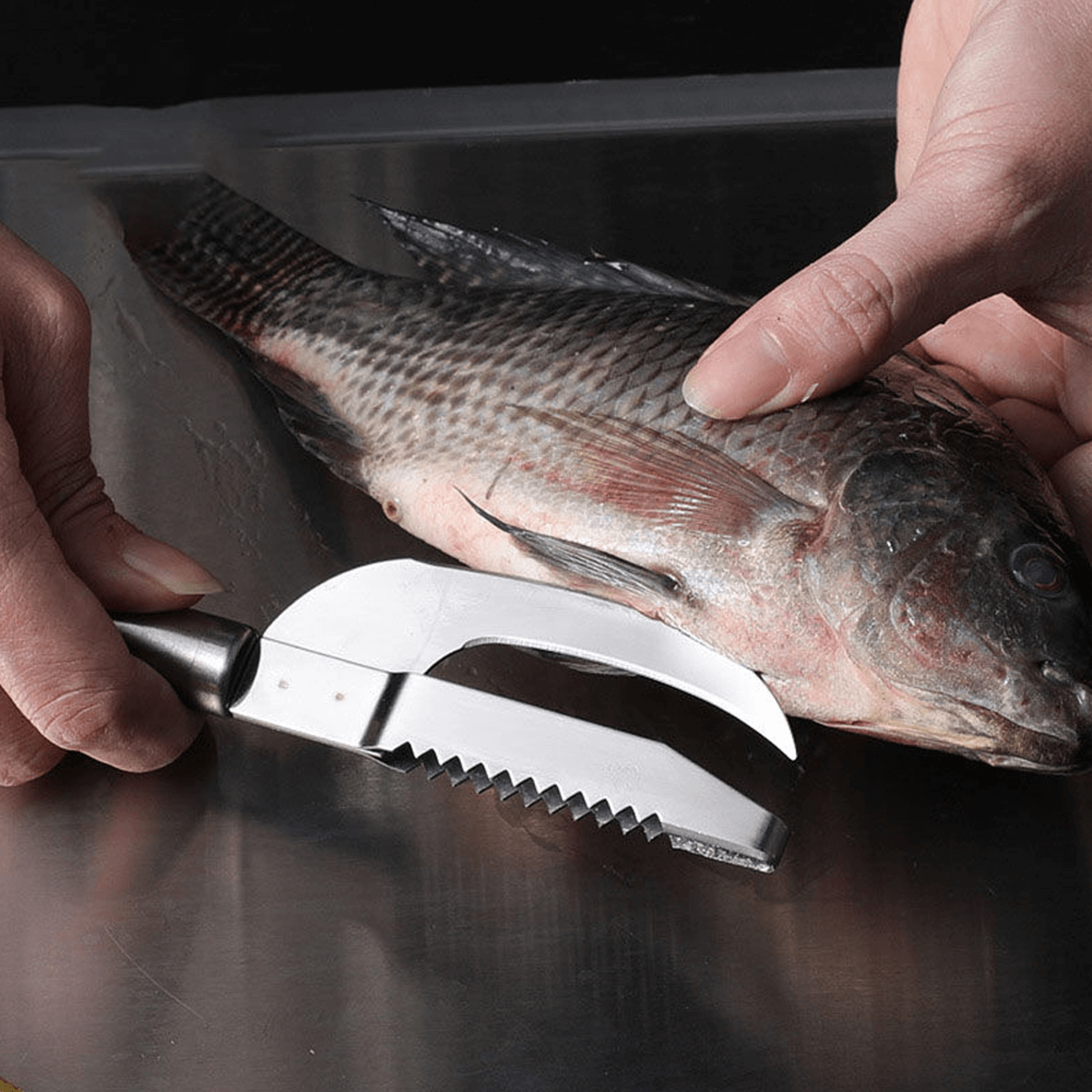 Stainless Steel Fish Maw Knife