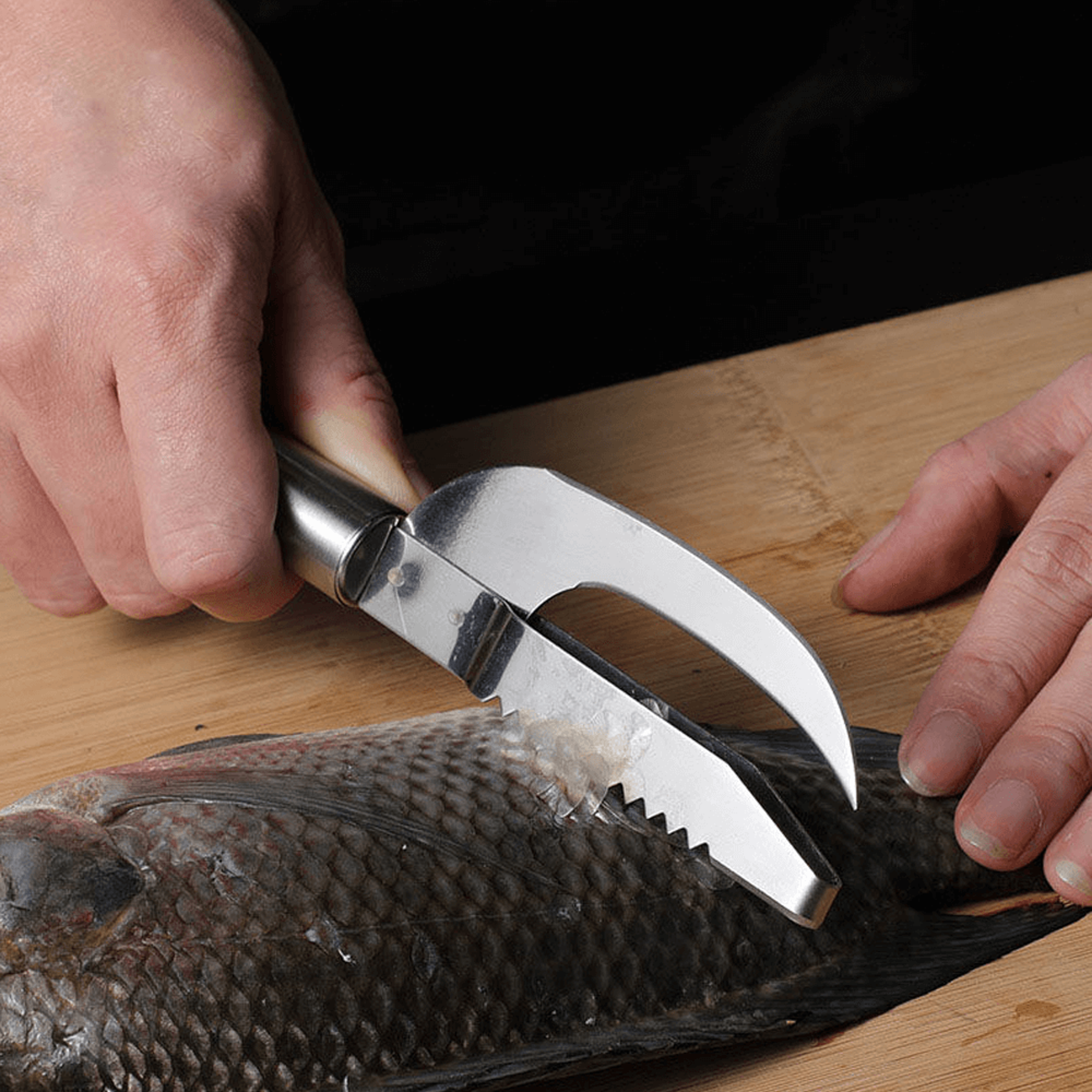 Stainless Steel Fish Scaler Remover Cutter  3in1 Fish Cleaner Tool