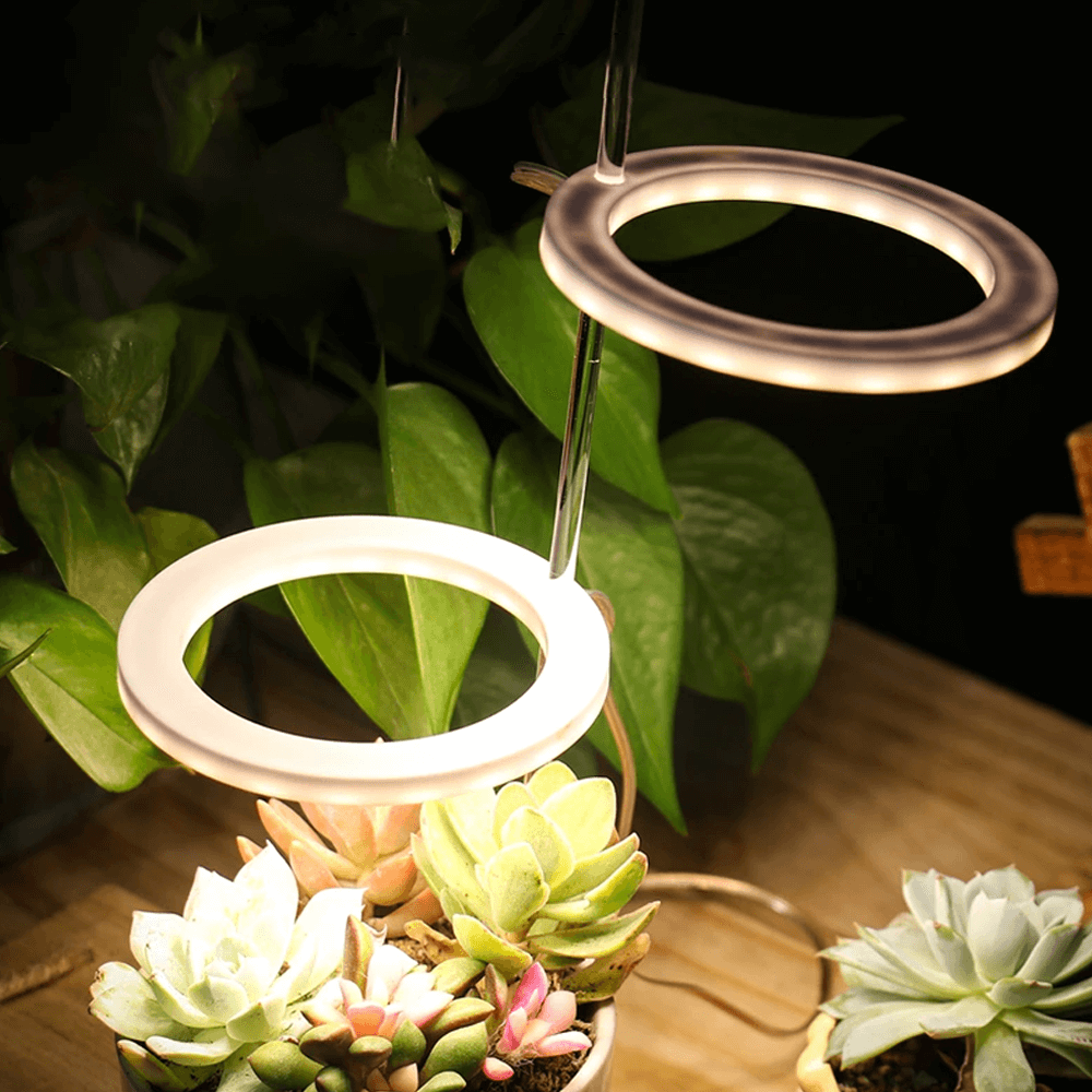 Grow Lights For Indoor Plants – view 2