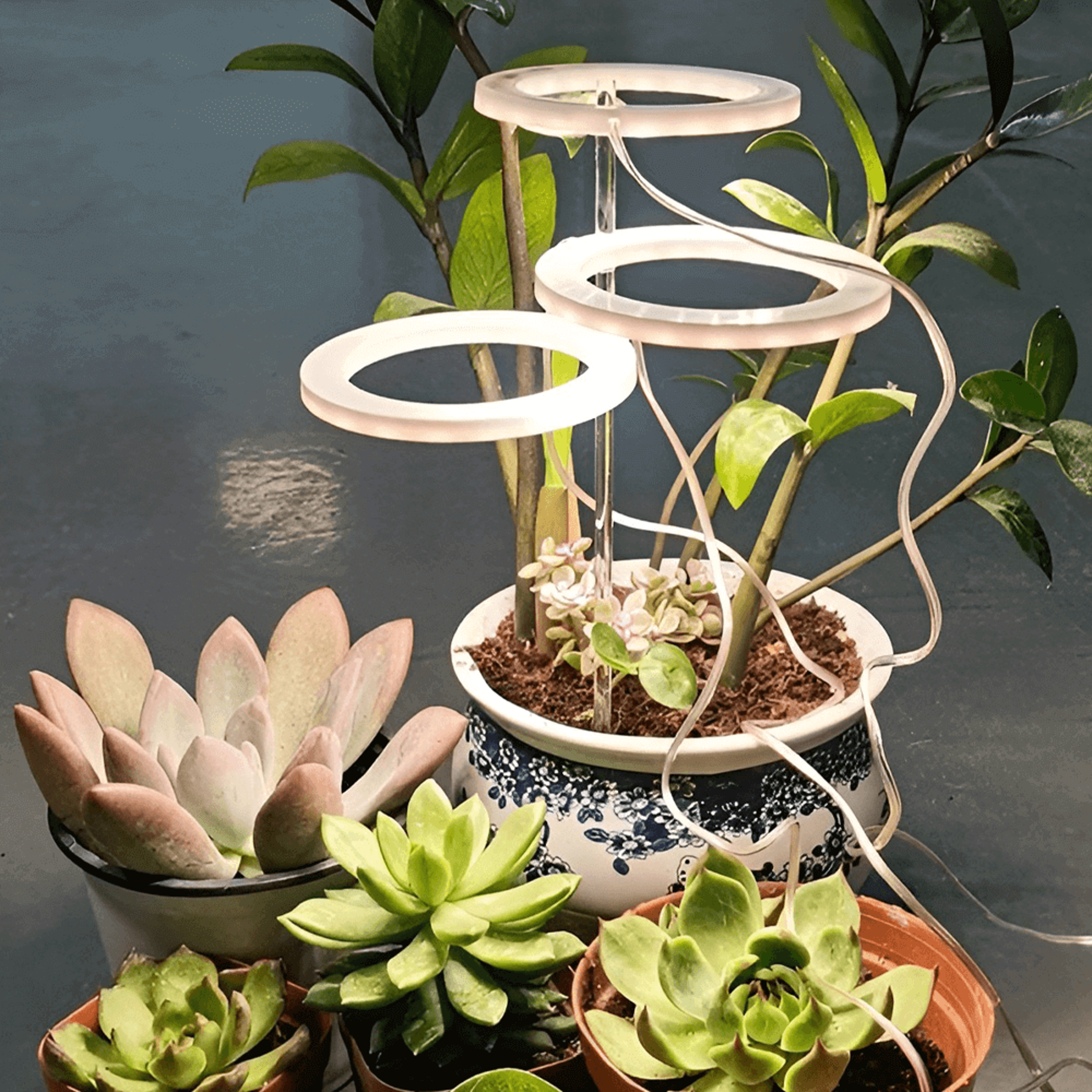 Grow Lights For Indoor Plants – view 3