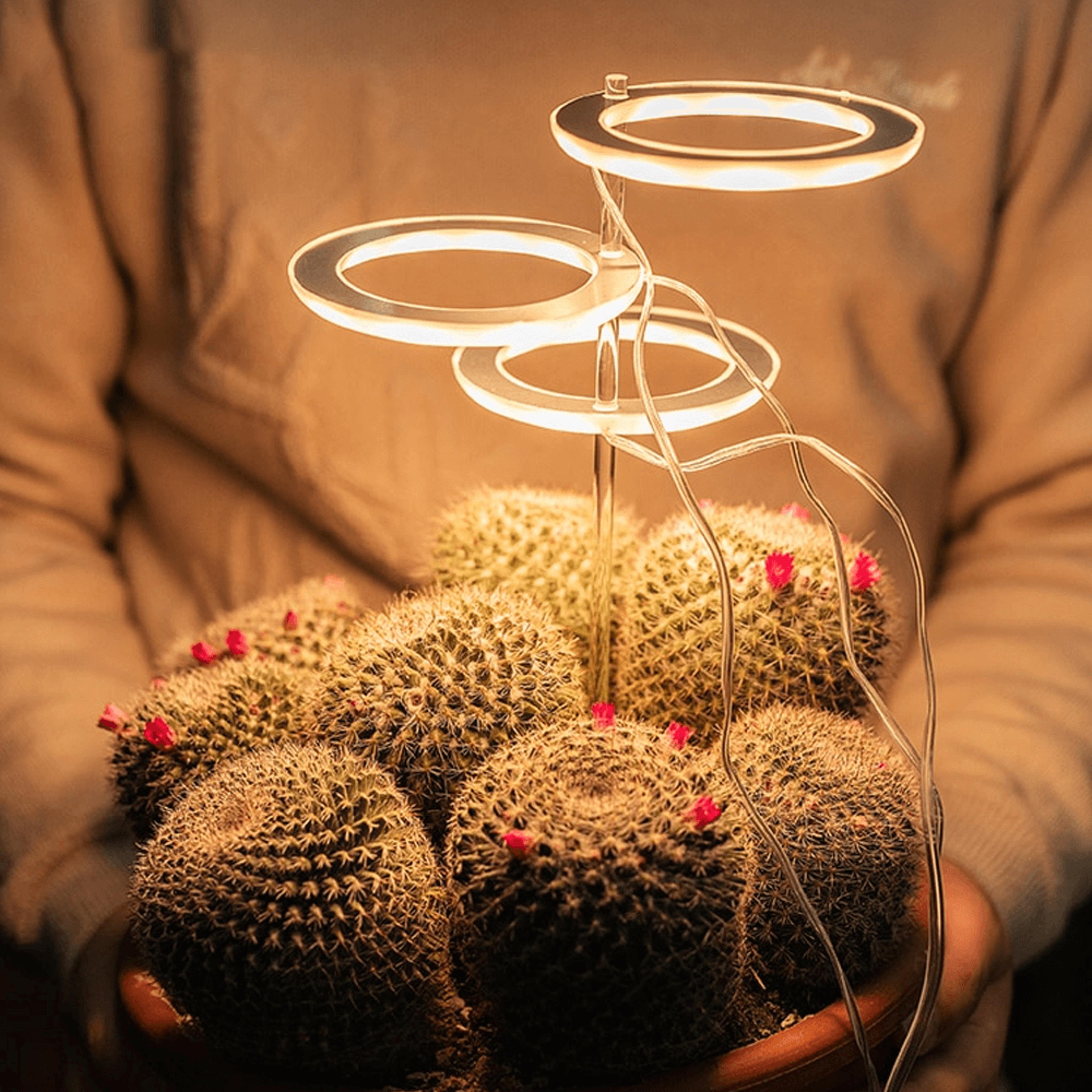 Grow Lights For Indoor Plants – view 6