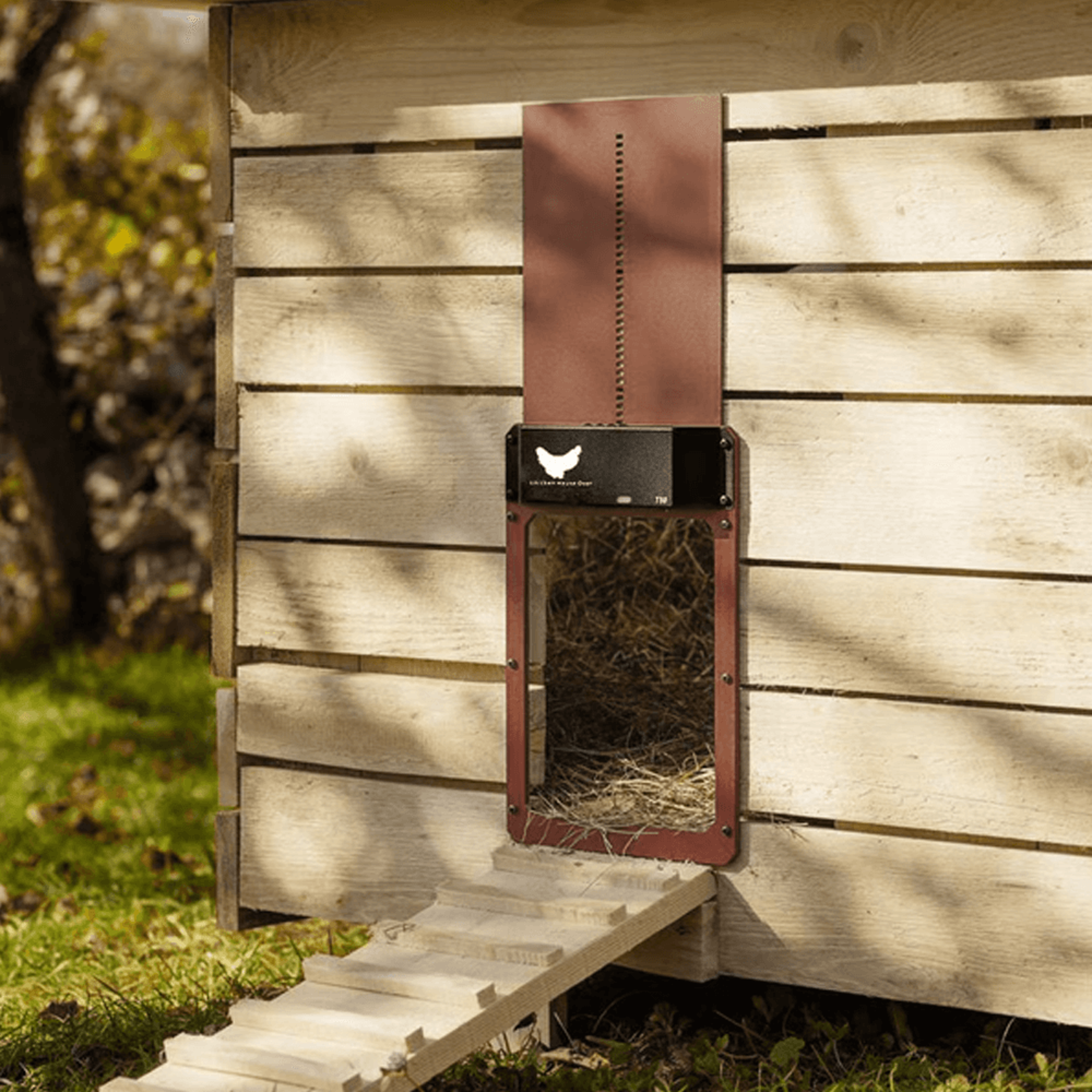 Chicken Coop Automatic Door – view 2