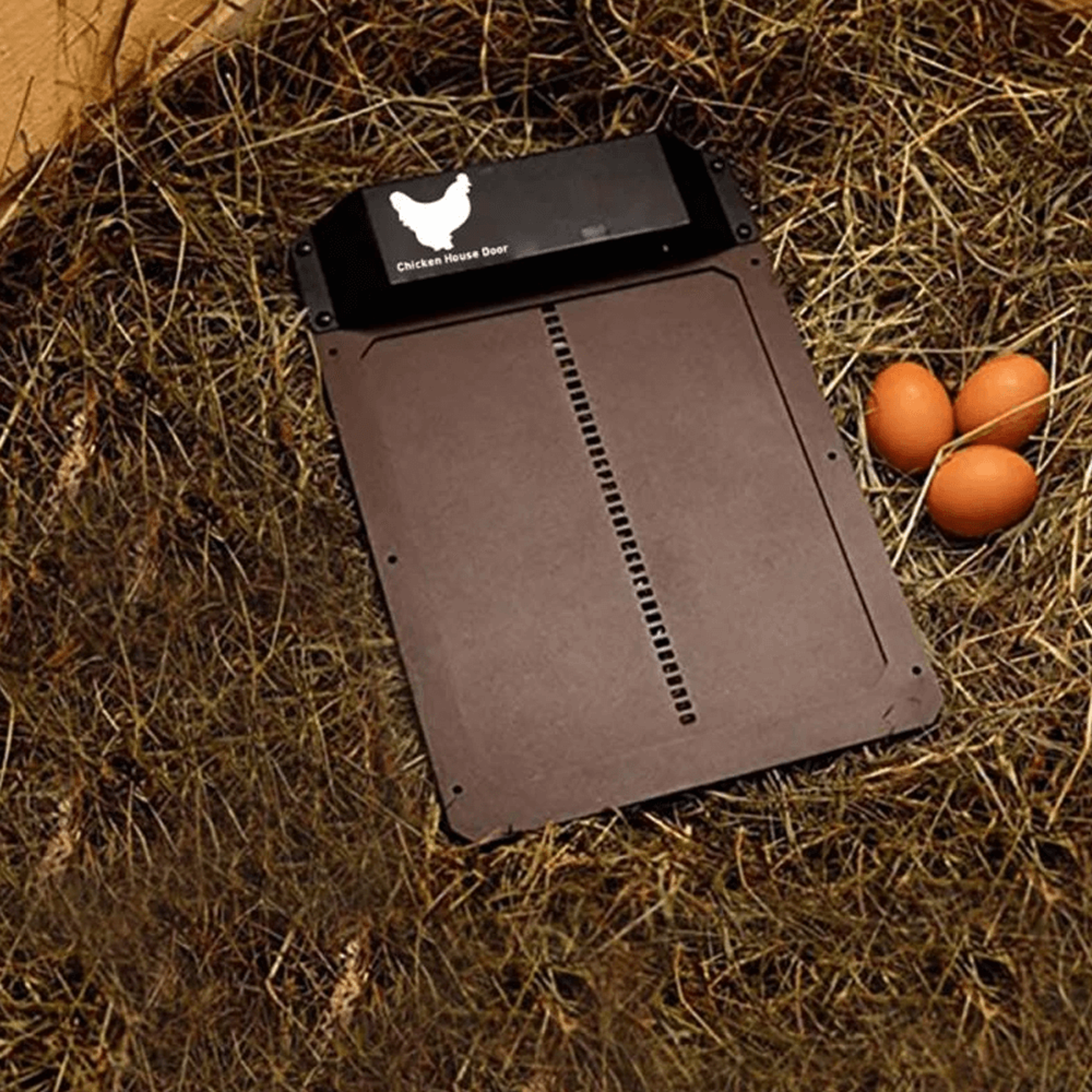 Chicken Coop Automatic Door – view 3