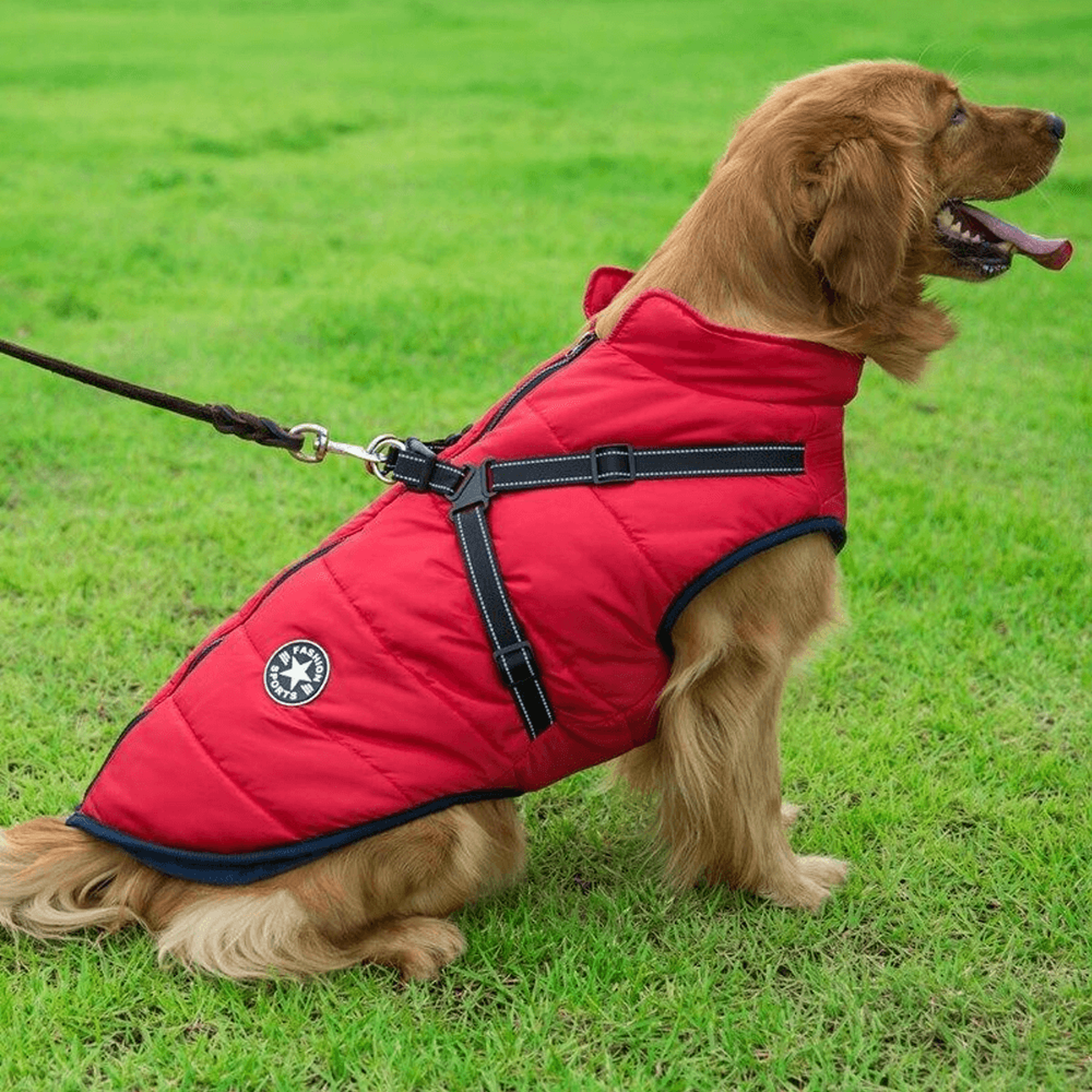 Waterproof Dog Jacket with Harness – view 2