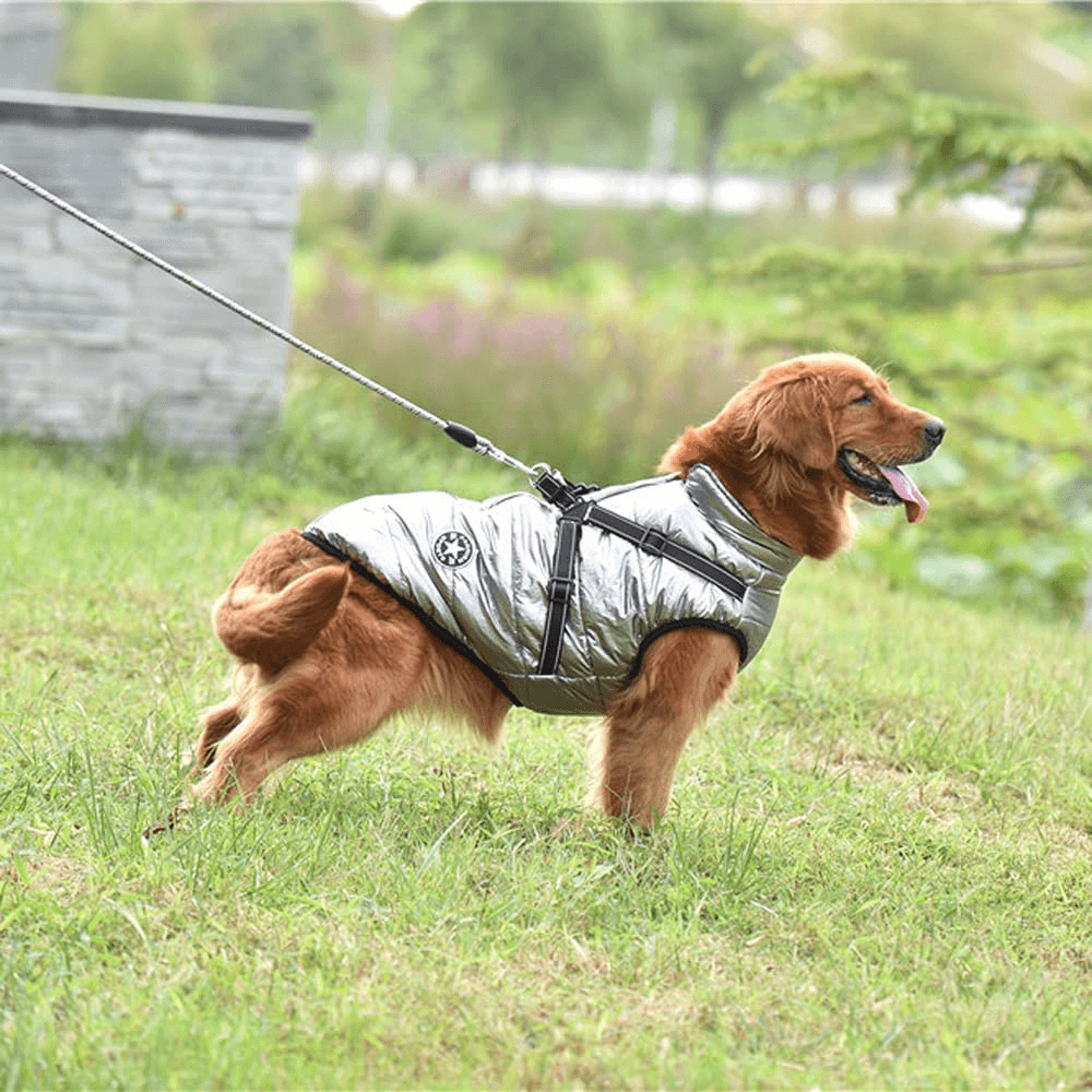 Waterproof Dog Jacket with Harness – view 7