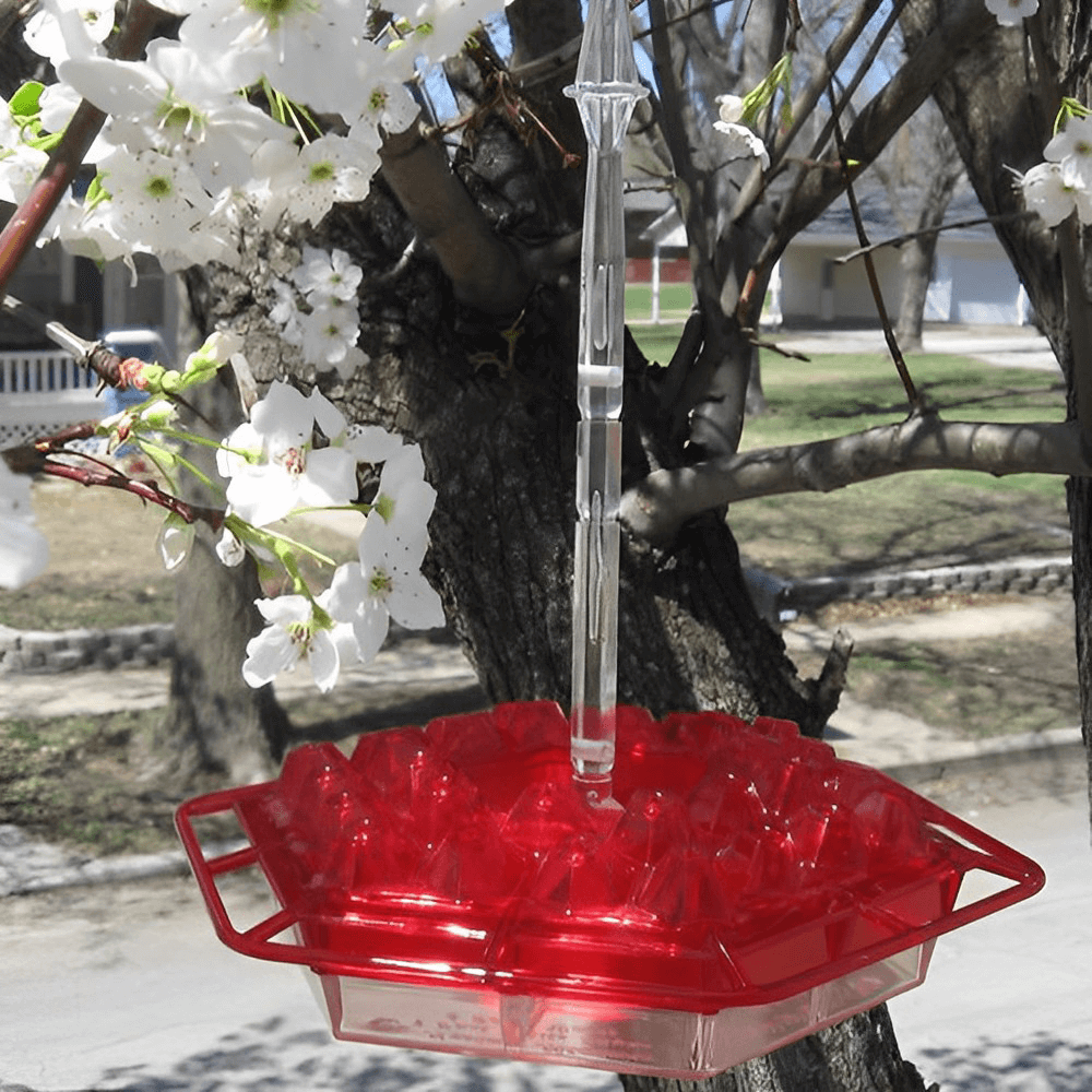 Transparent & Washable Mary's Hummingbird Feeder – view 4