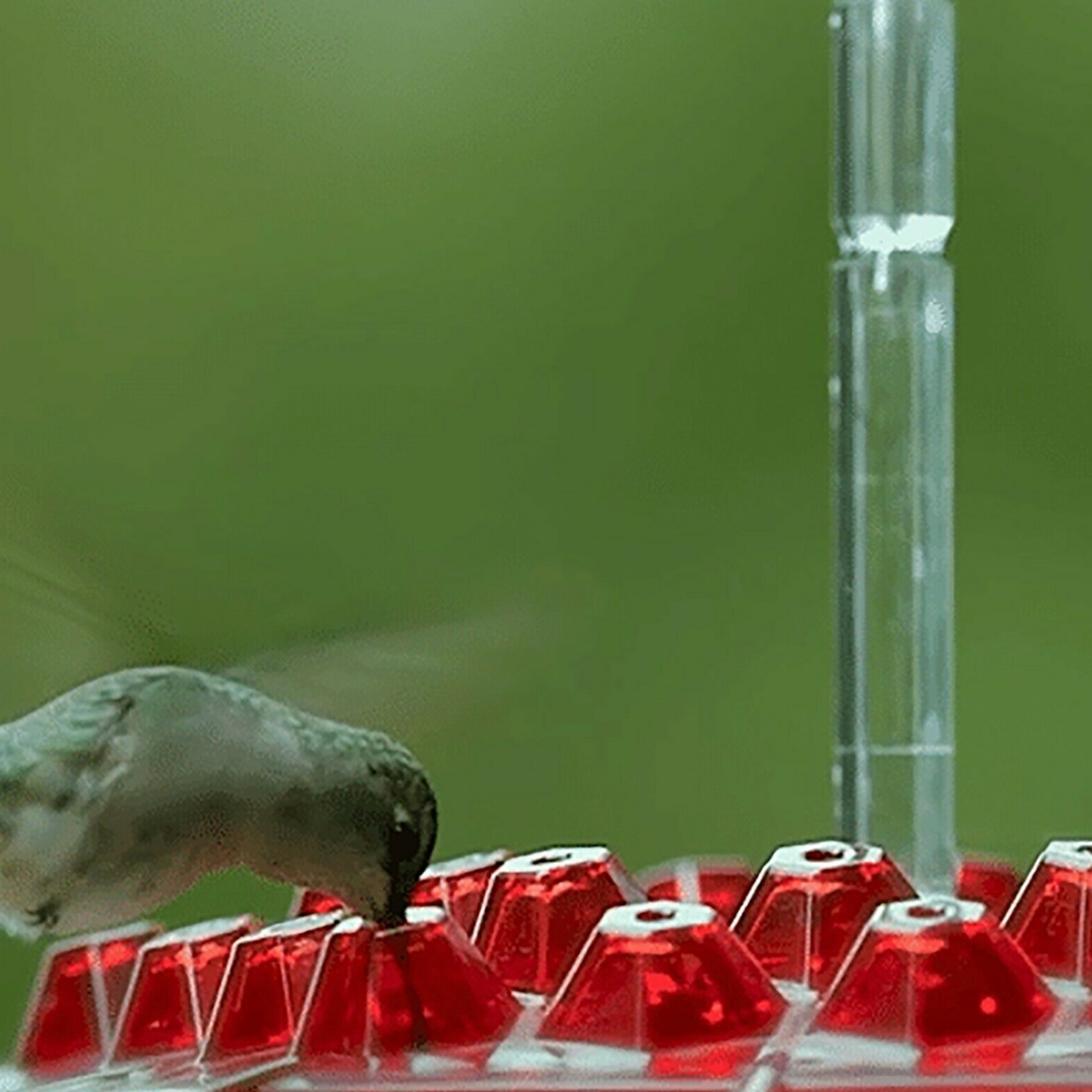 Ant Proof Hummingbird Feeder | Mary's Hummingbird Feeder with 30 Tubes | Mary's Sweety Hummingbird Feeder – view 5