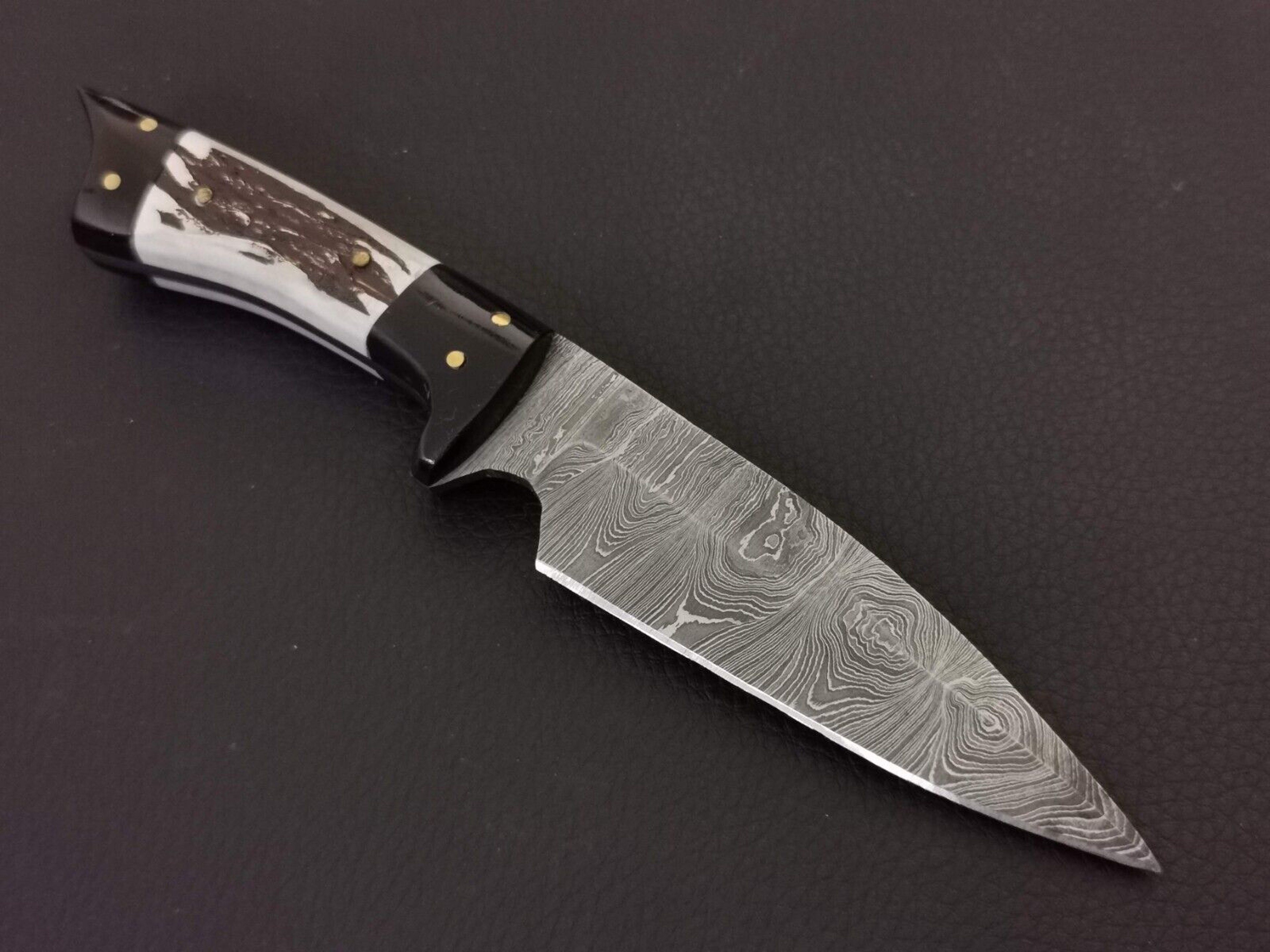 sl1600 2jpg