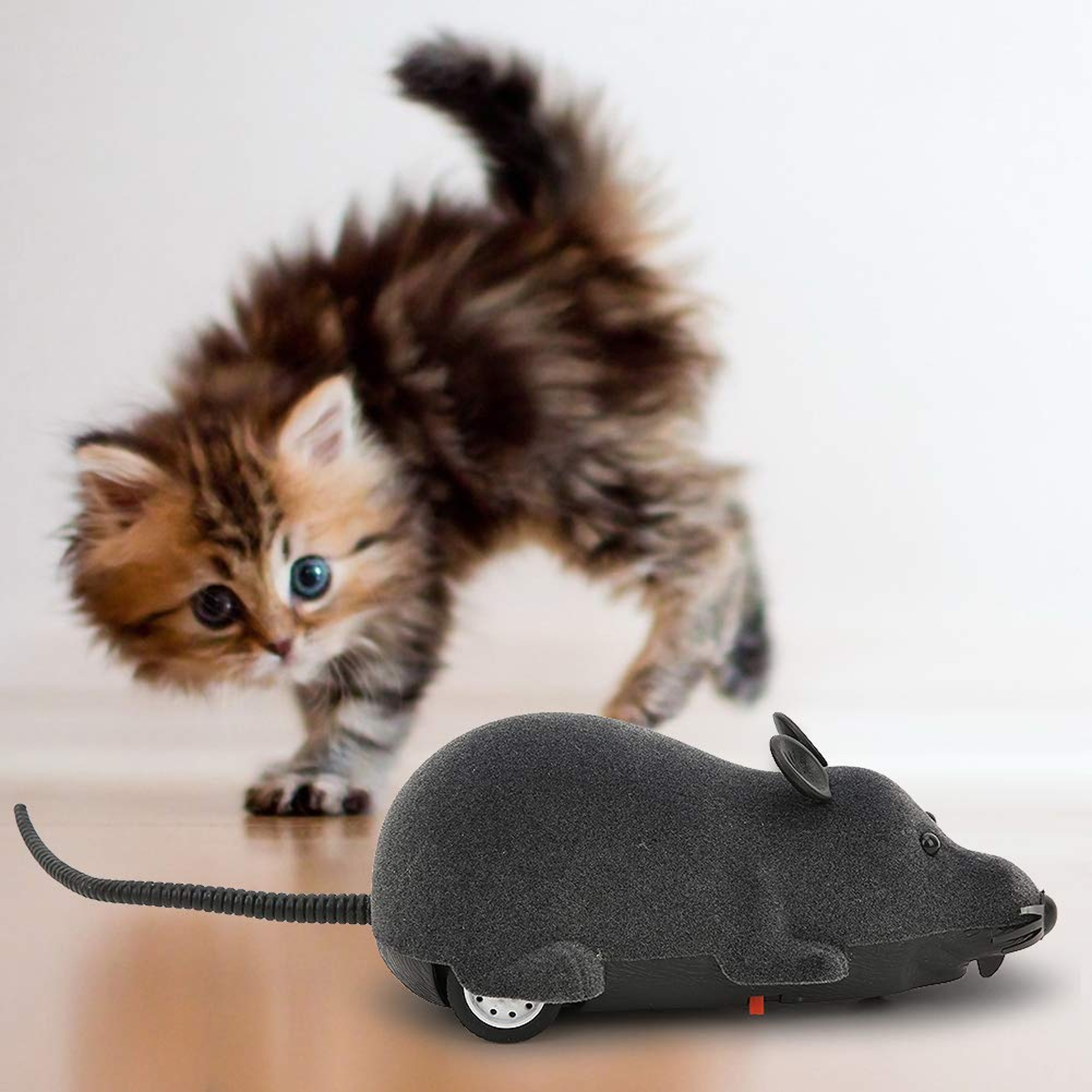 Electronic Remote Control Rat 1